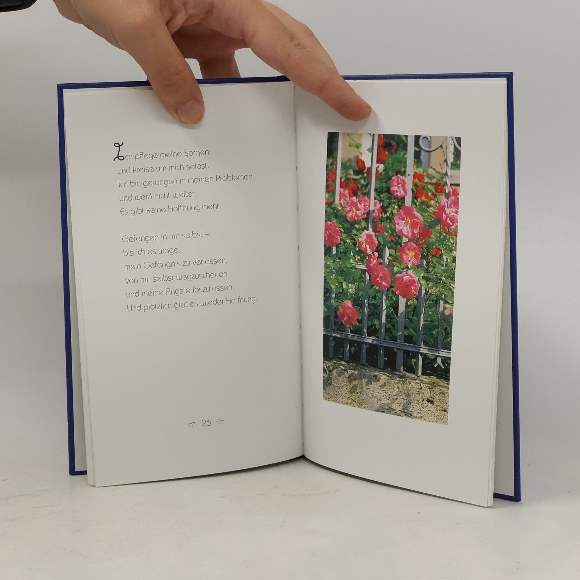 Rainer Haak Poesie der Hoffnung
