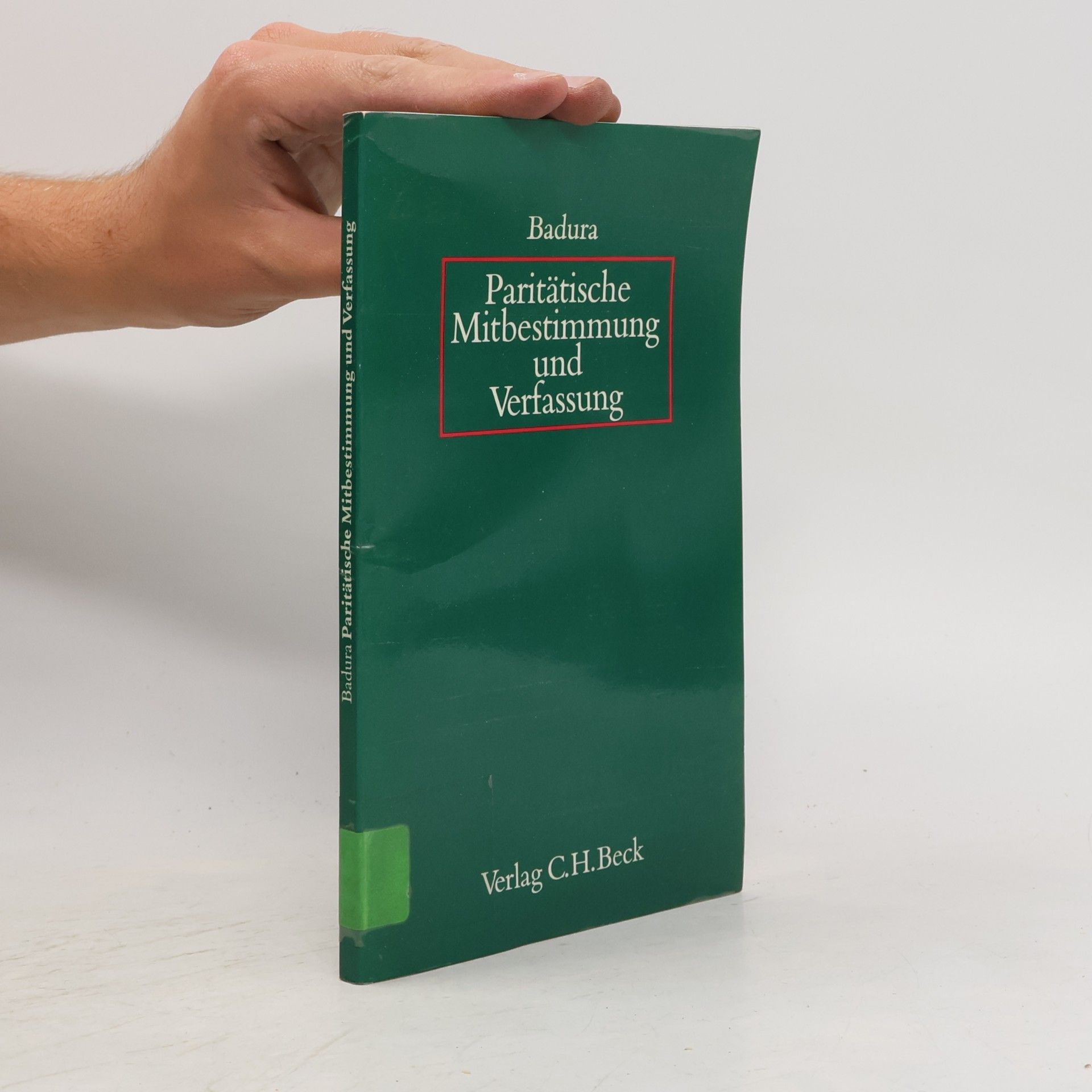 Paritätische Mitbestimmung und Verfassung
