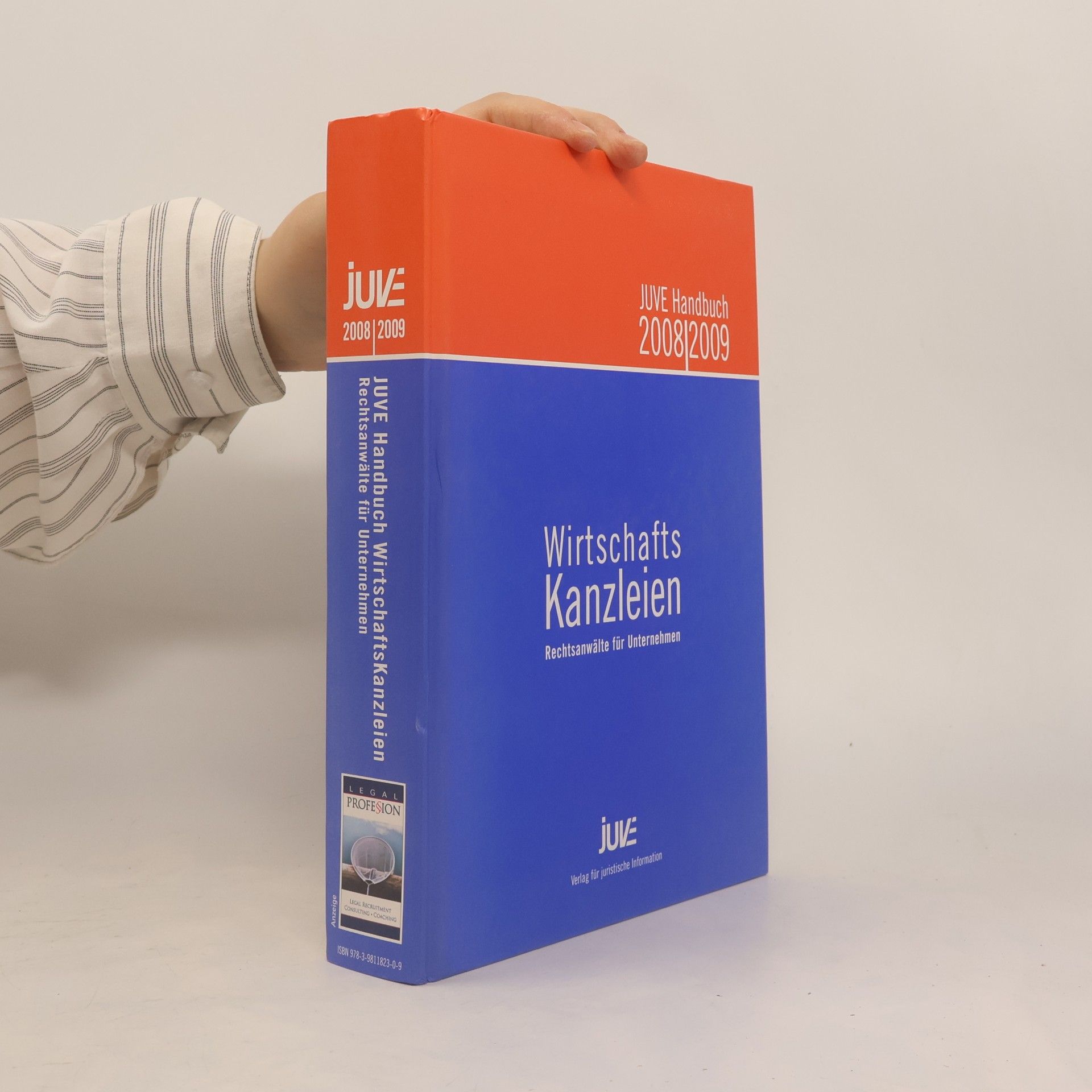 Autorenkollektiv JUVE Handbuch Wirtschaftskanzleien: Rechtsanwälte für Unternehmen 2008/2009