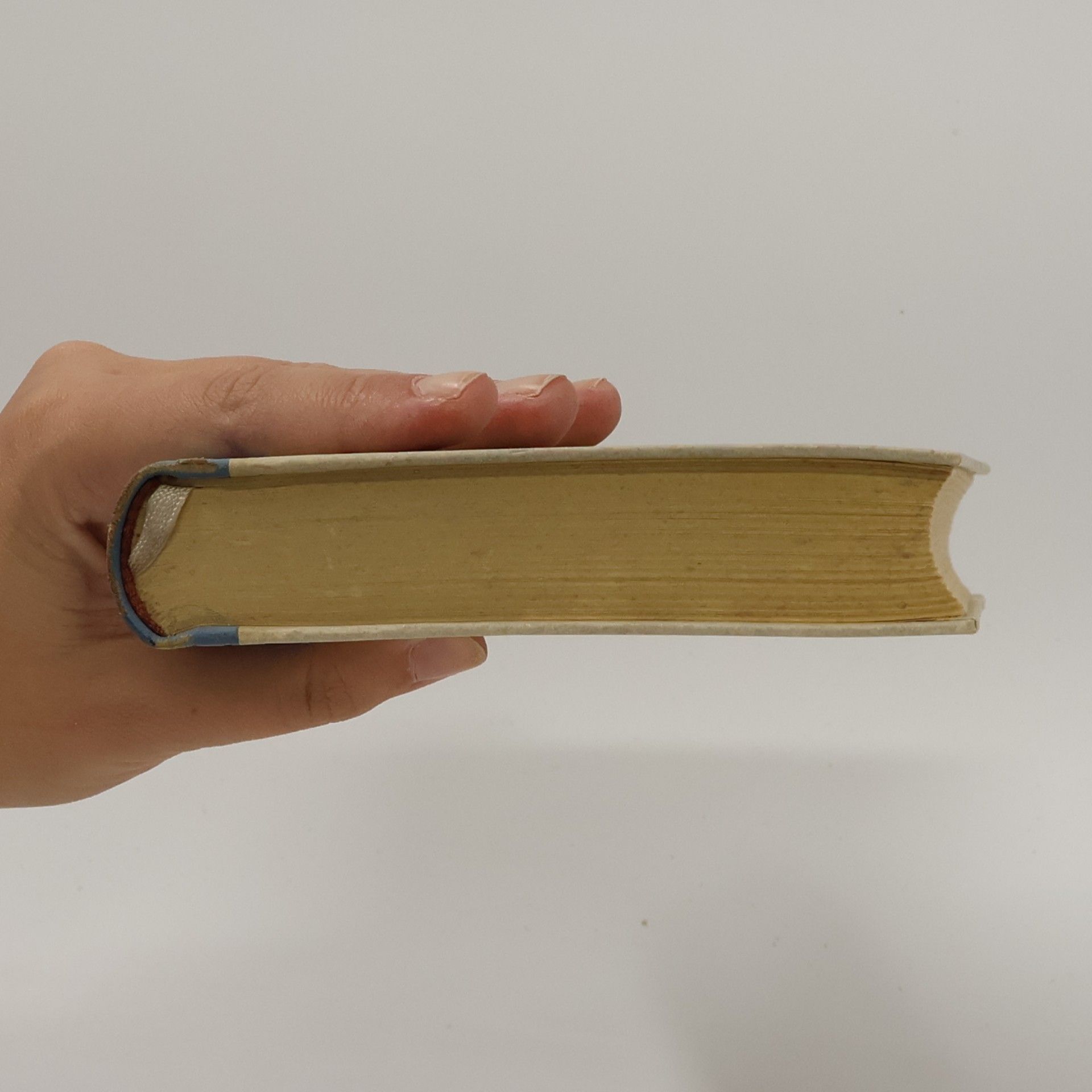 Isolde Kurz Florentiner Novellen