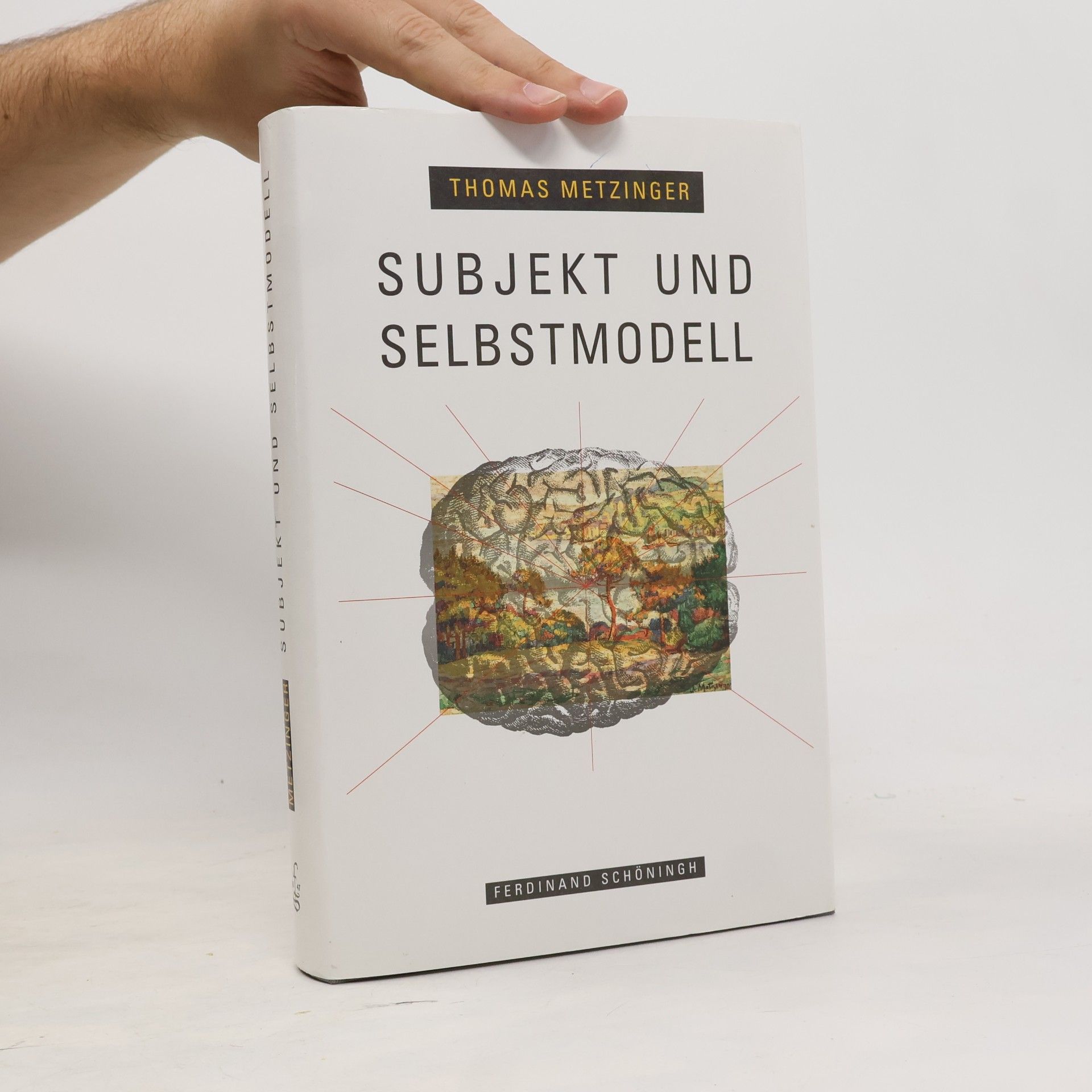 Thomas Metzinger Subjekt und Selbstmodell