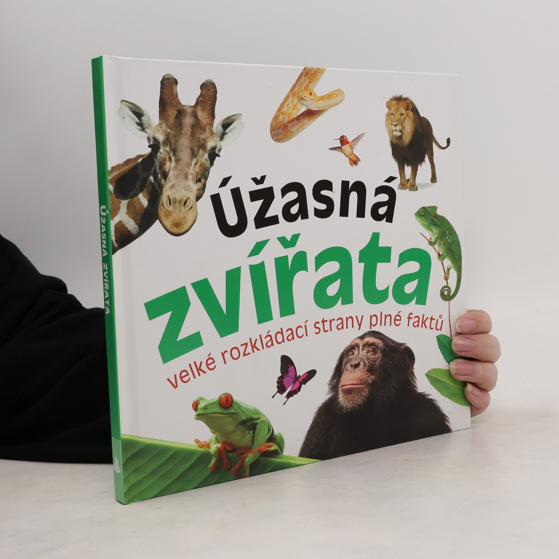 Kolektív autorov Úžasná zvířata - velké rozkládací strany plné faktů