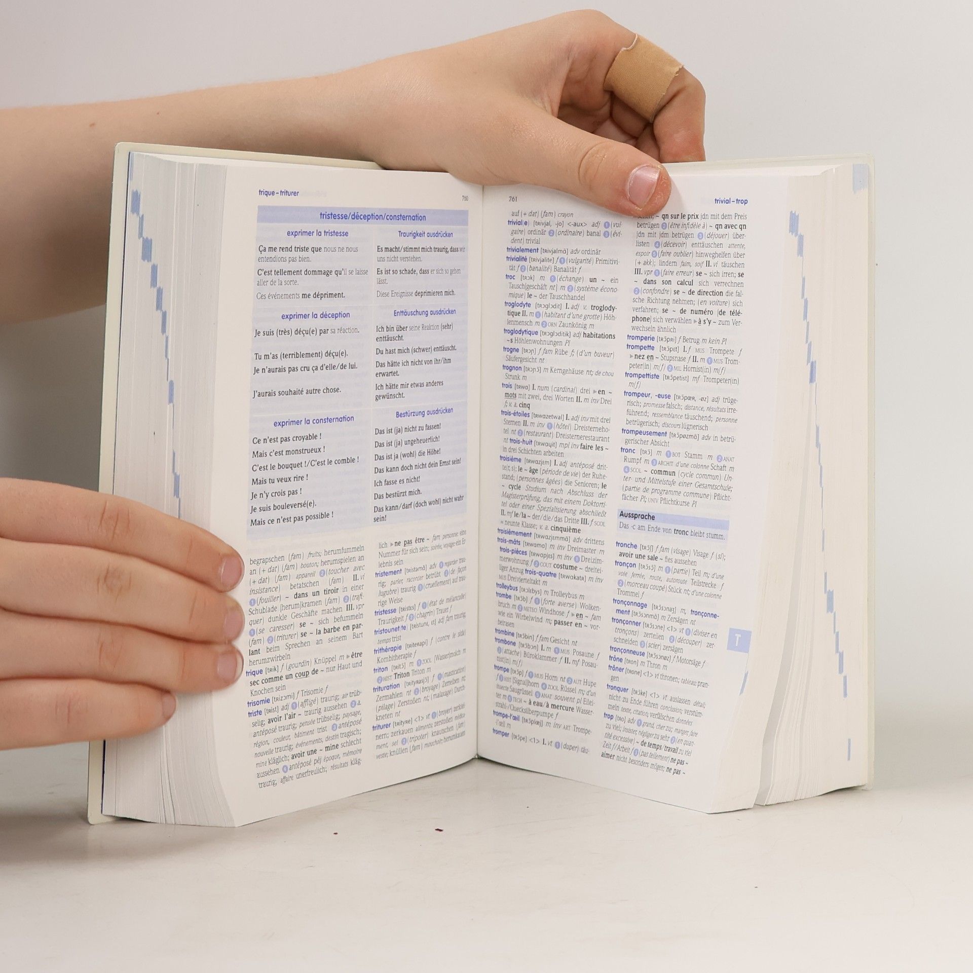 Frédéric Auvrai PONS Schülerwörterbuch Französisch