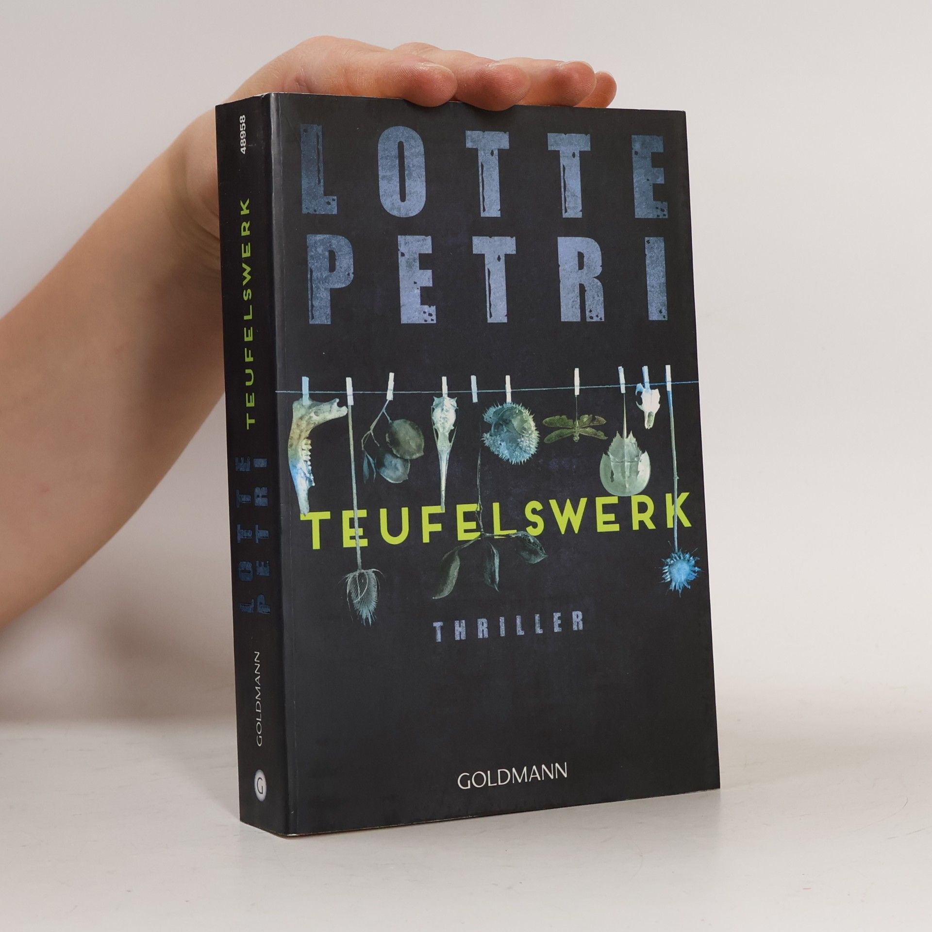Lotte Petri Teufelswerk