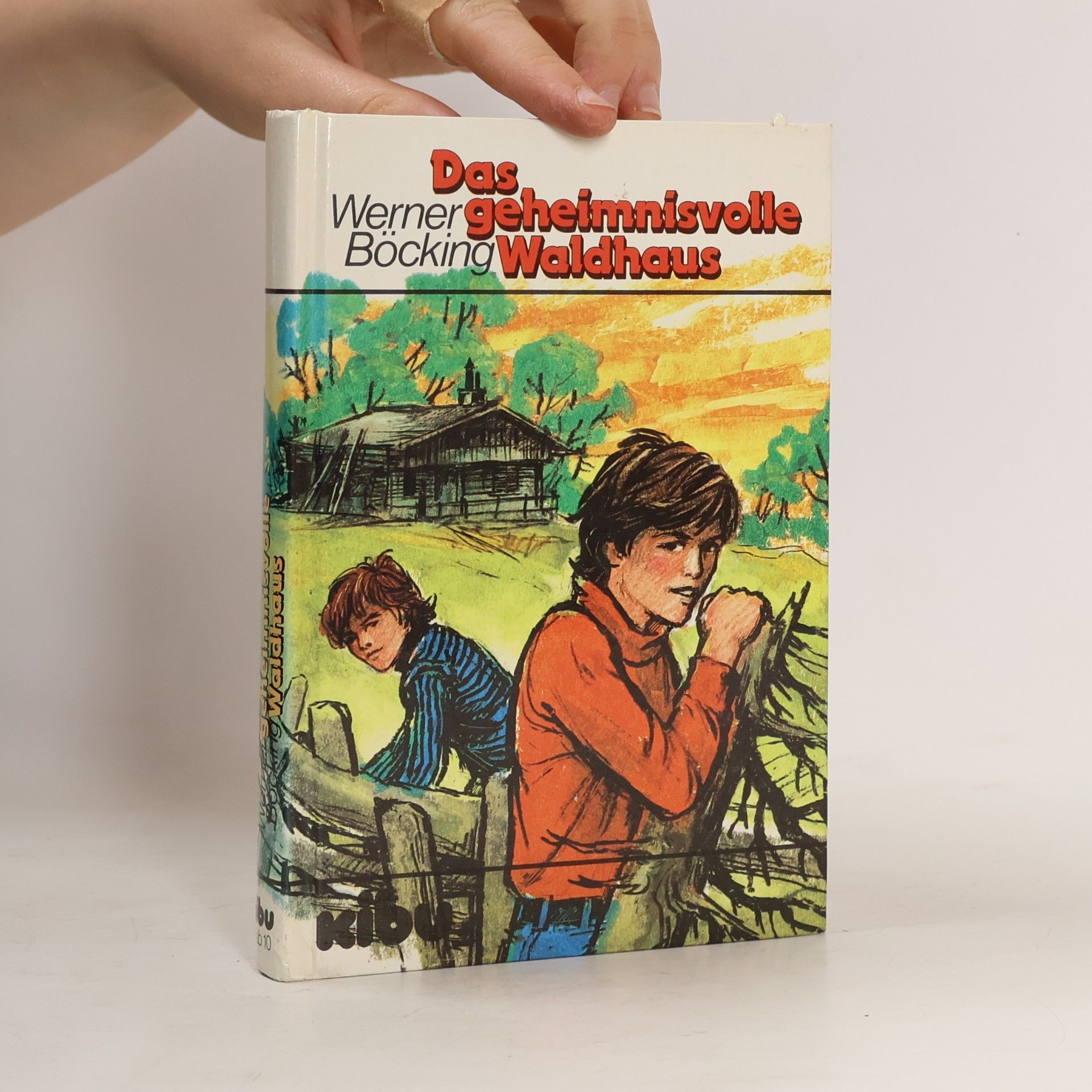 Werner Böcking Das geheimnisvolle Waldhaus