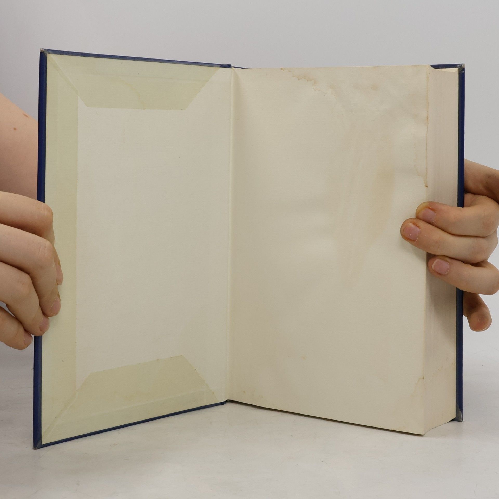 Wolfgang Kohler Handbuch der Wohnraummiete