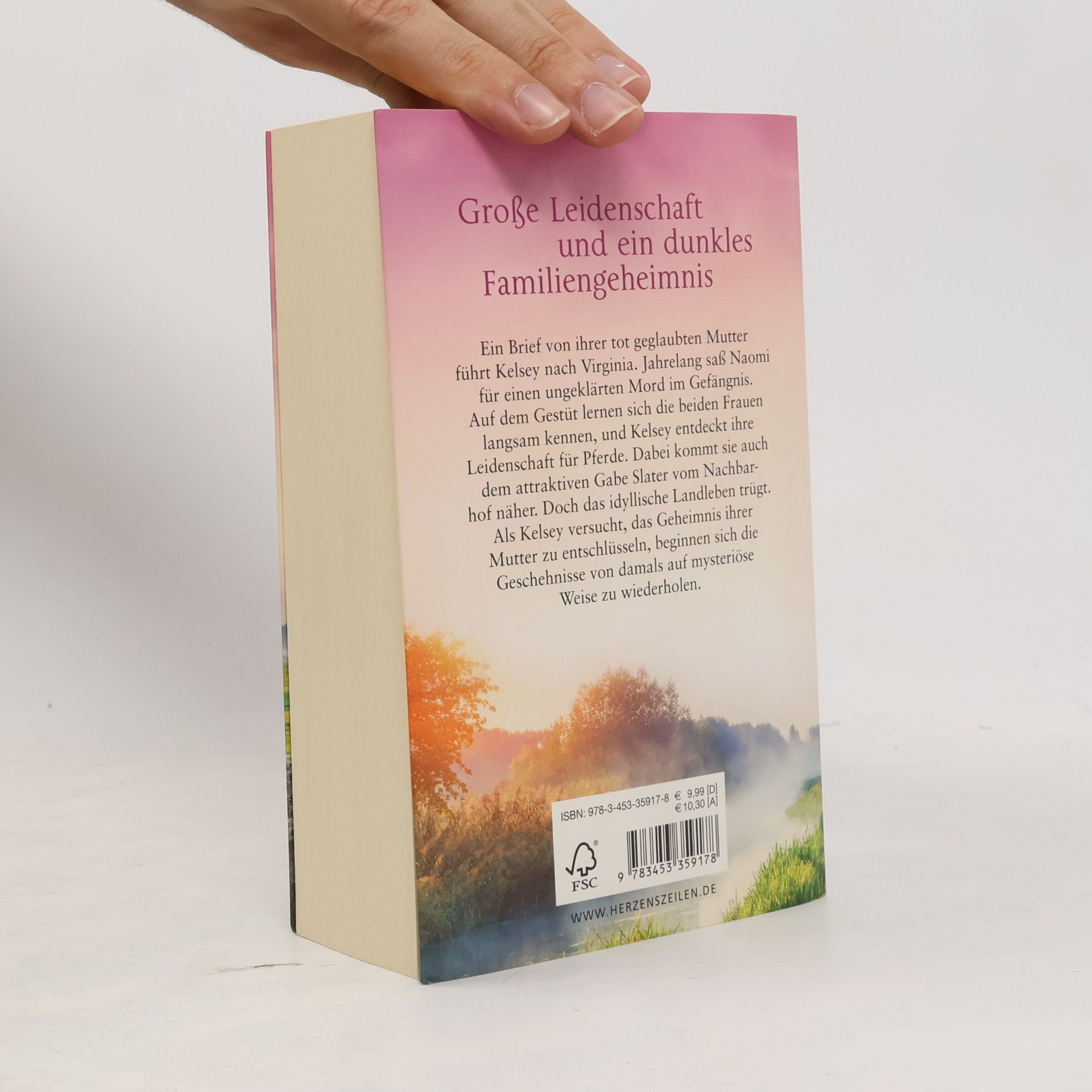 Nora Roberts Schatten über den Weiden