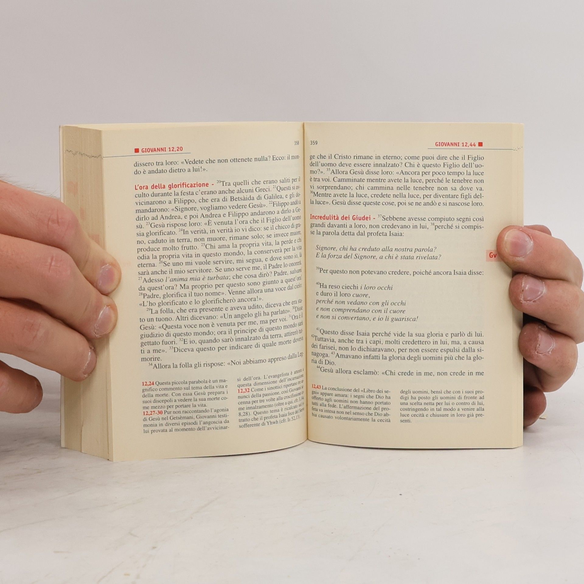 Vangelo per la famiglia. Testo CEI (Vangelo. Nuovo Testamento. Testi, Band 109)