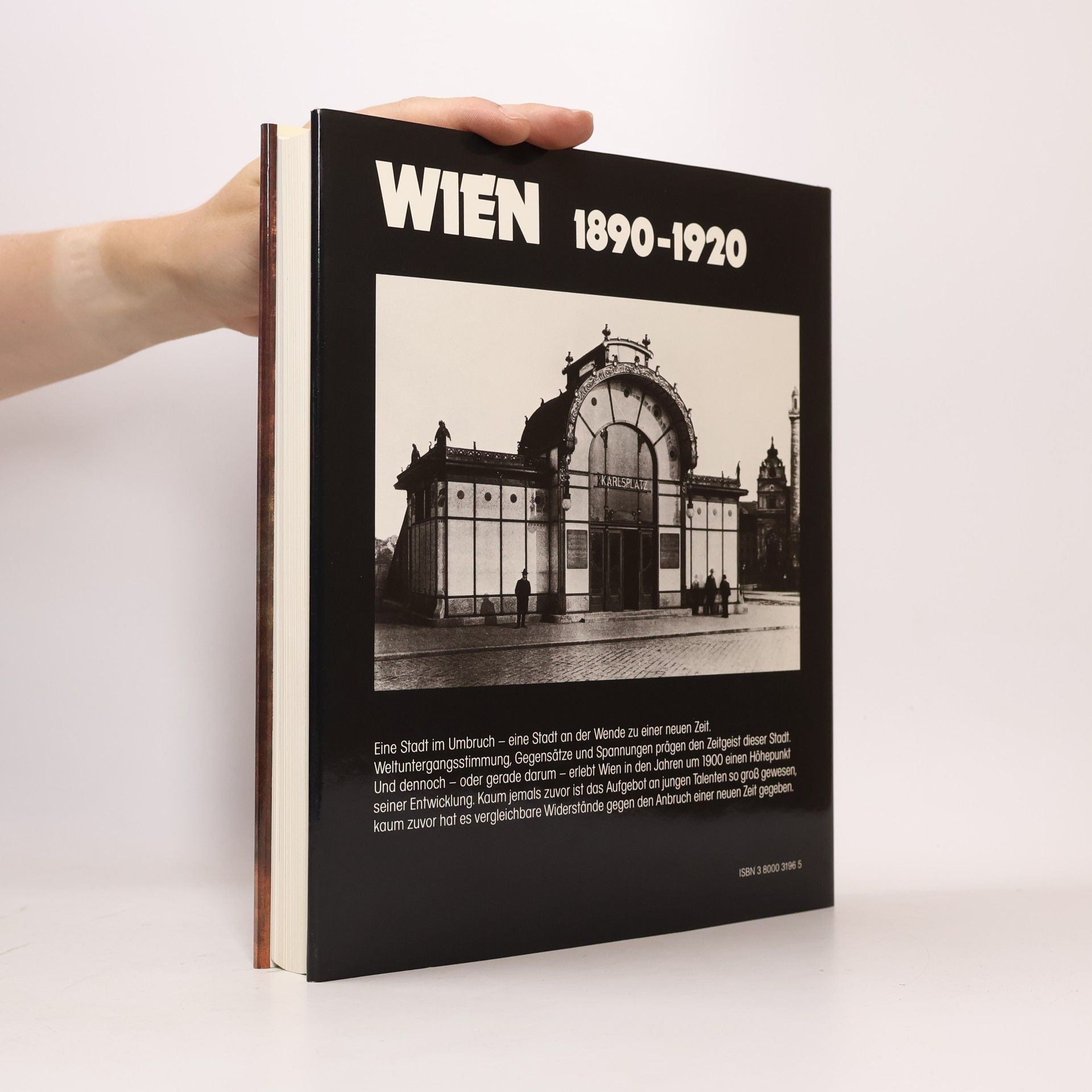 Robert Waissenberger Wien 1890 - 1920
