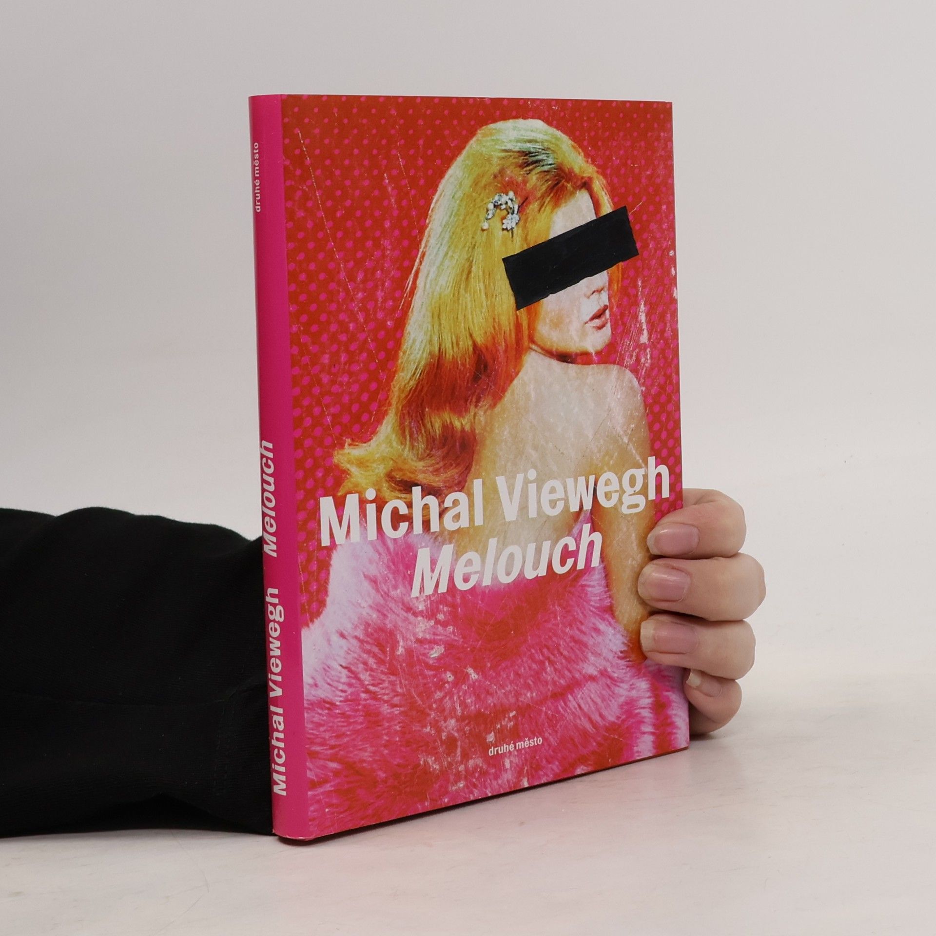 Michal Viewegh Melouch