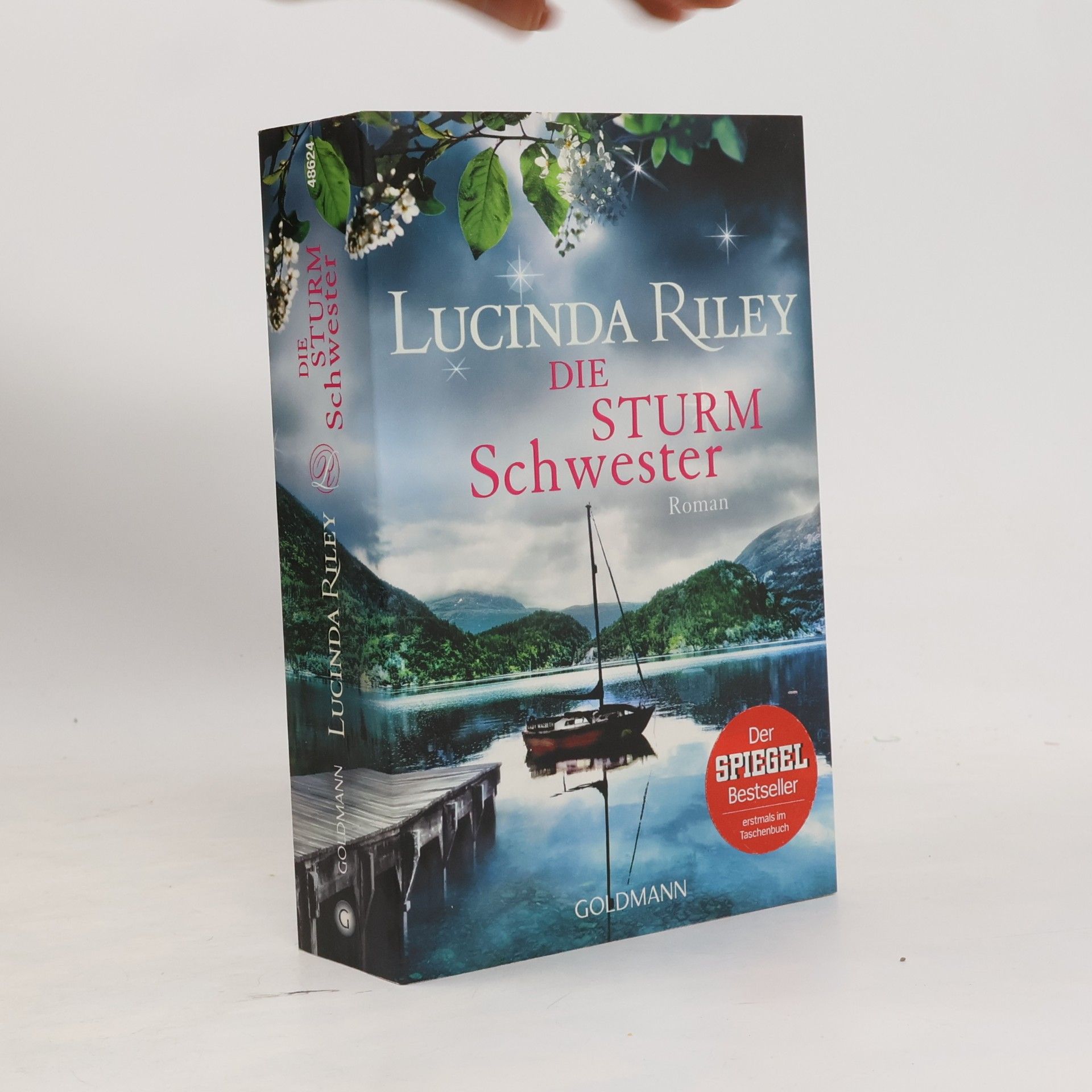Lucinda Riley Die Sturmschwester