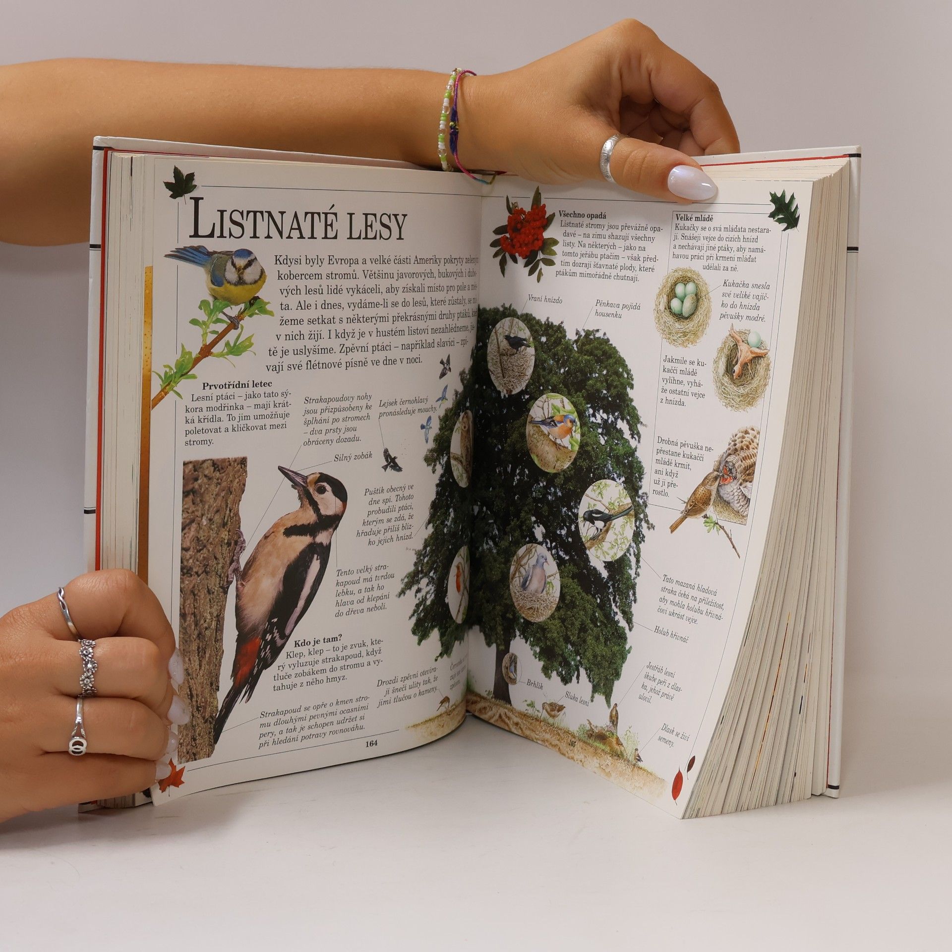 Various authors Velká dětská encyklopedie : [z obrázků a vět poznáváme svět]