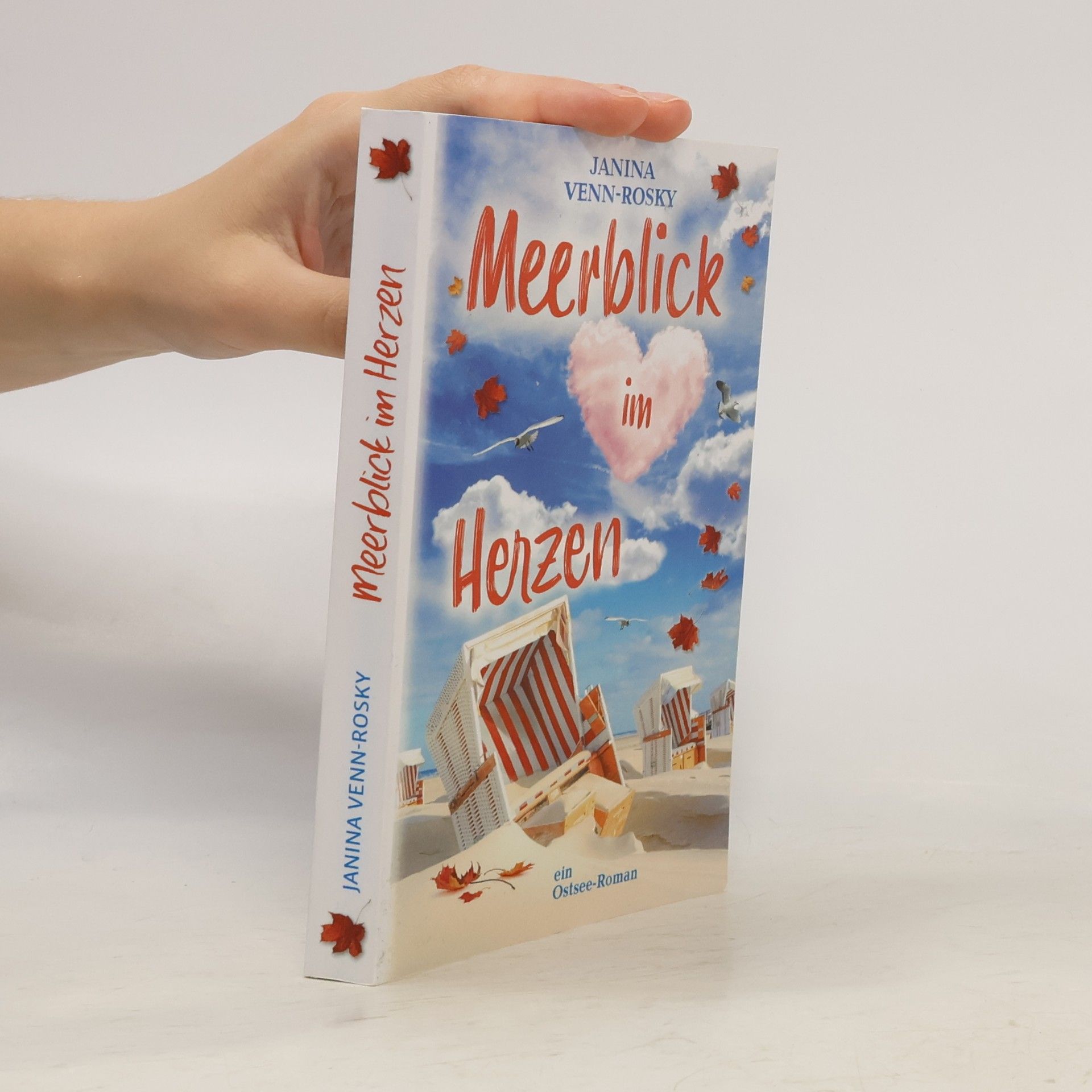 Meerblick-Reihe - 2: Meerblick im Herzen
