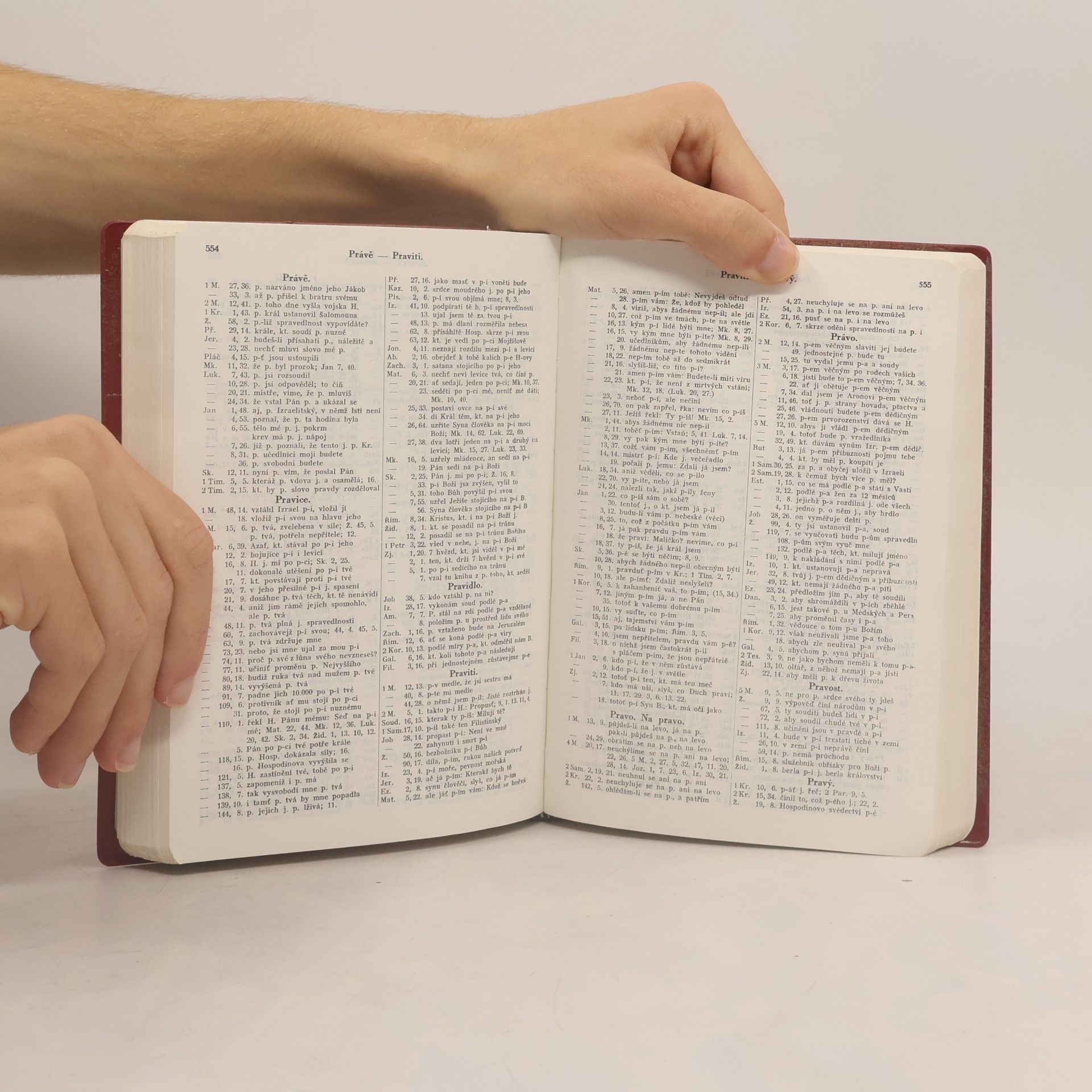 Various authors Biblická konkordance