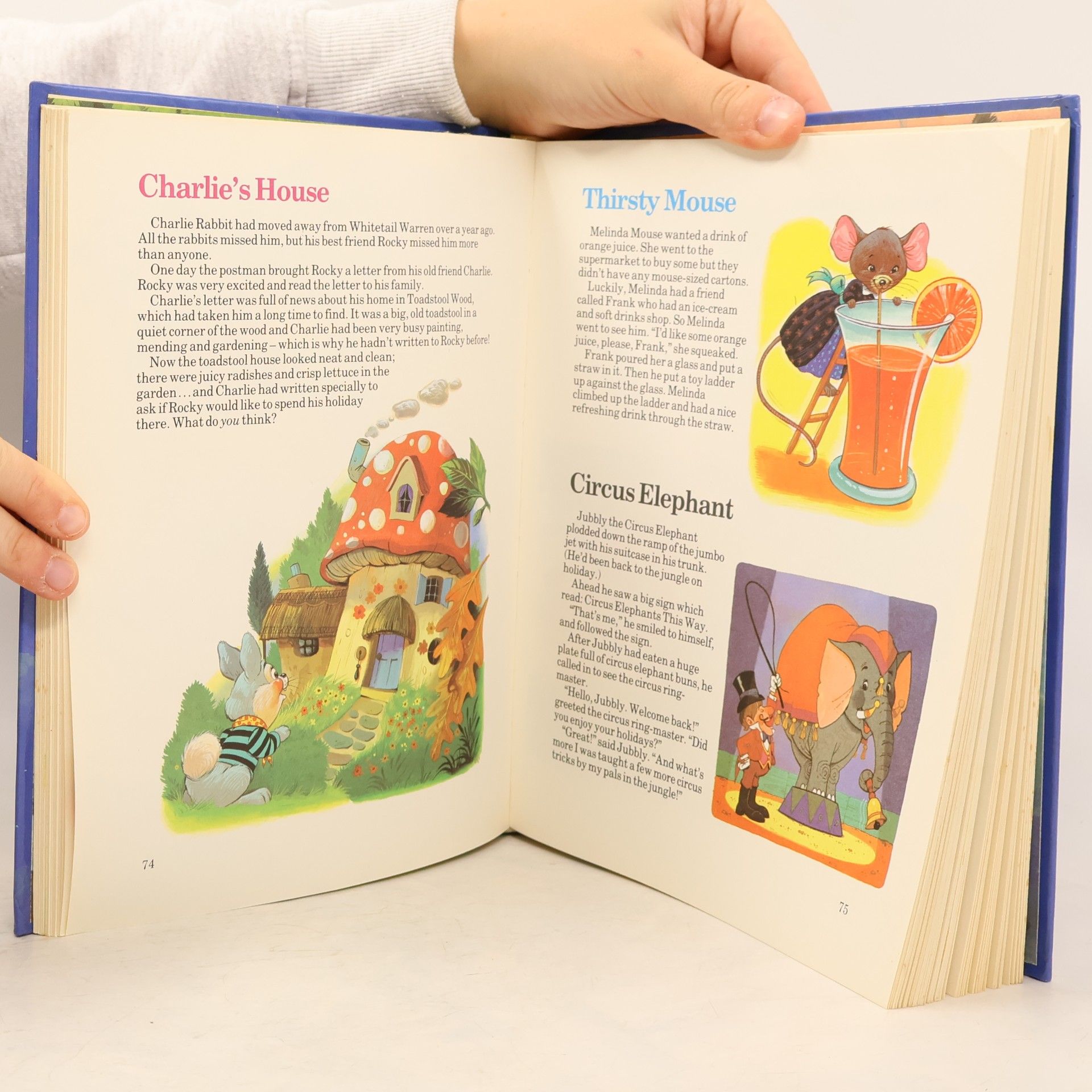 Hayden McAllister Many more bedtime stories