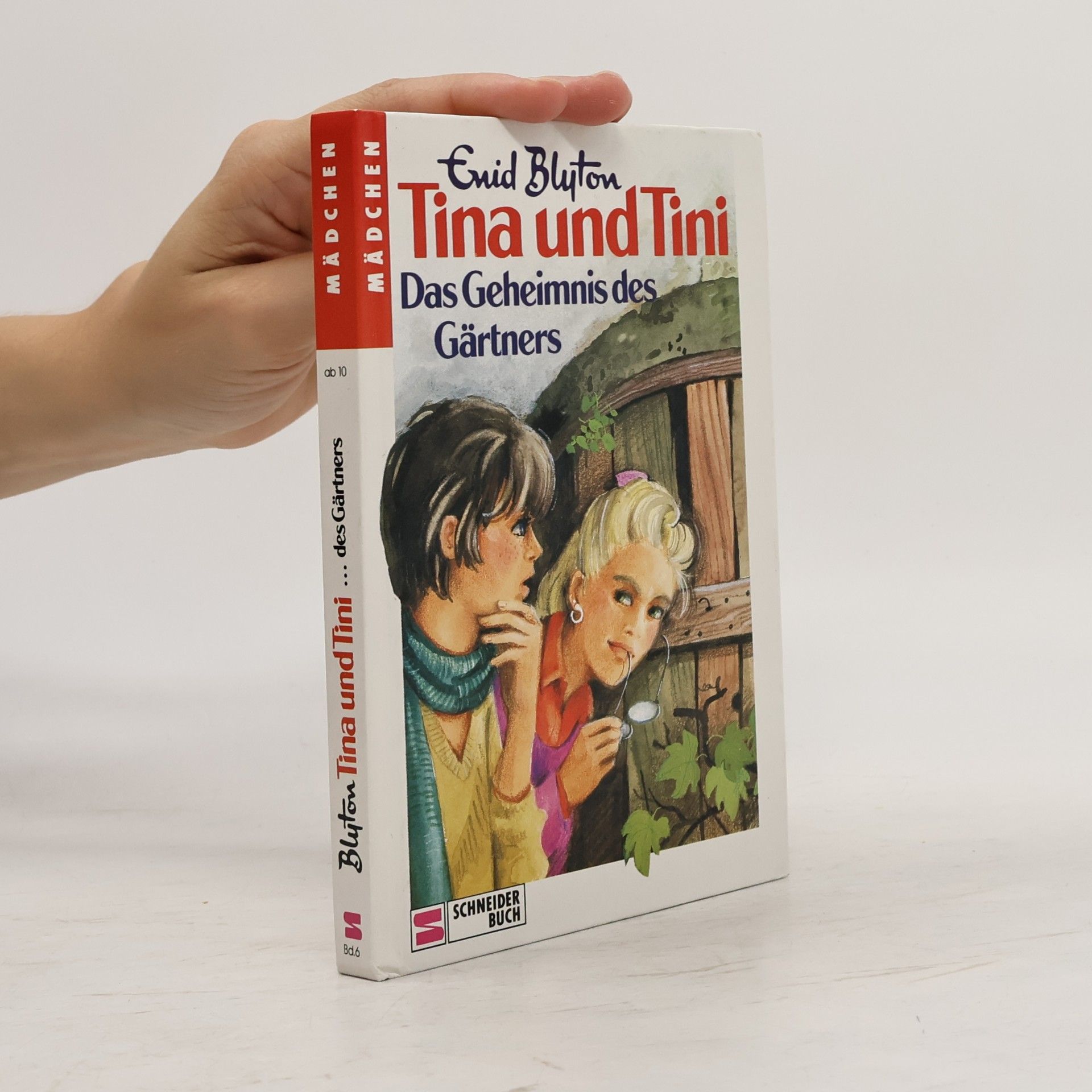 Enid Blyton Tina und Tini - Das Geheimnis des Gärtners