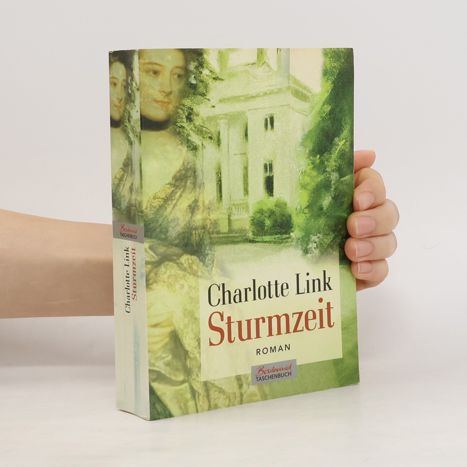 Charlotte Link Sturmzeit