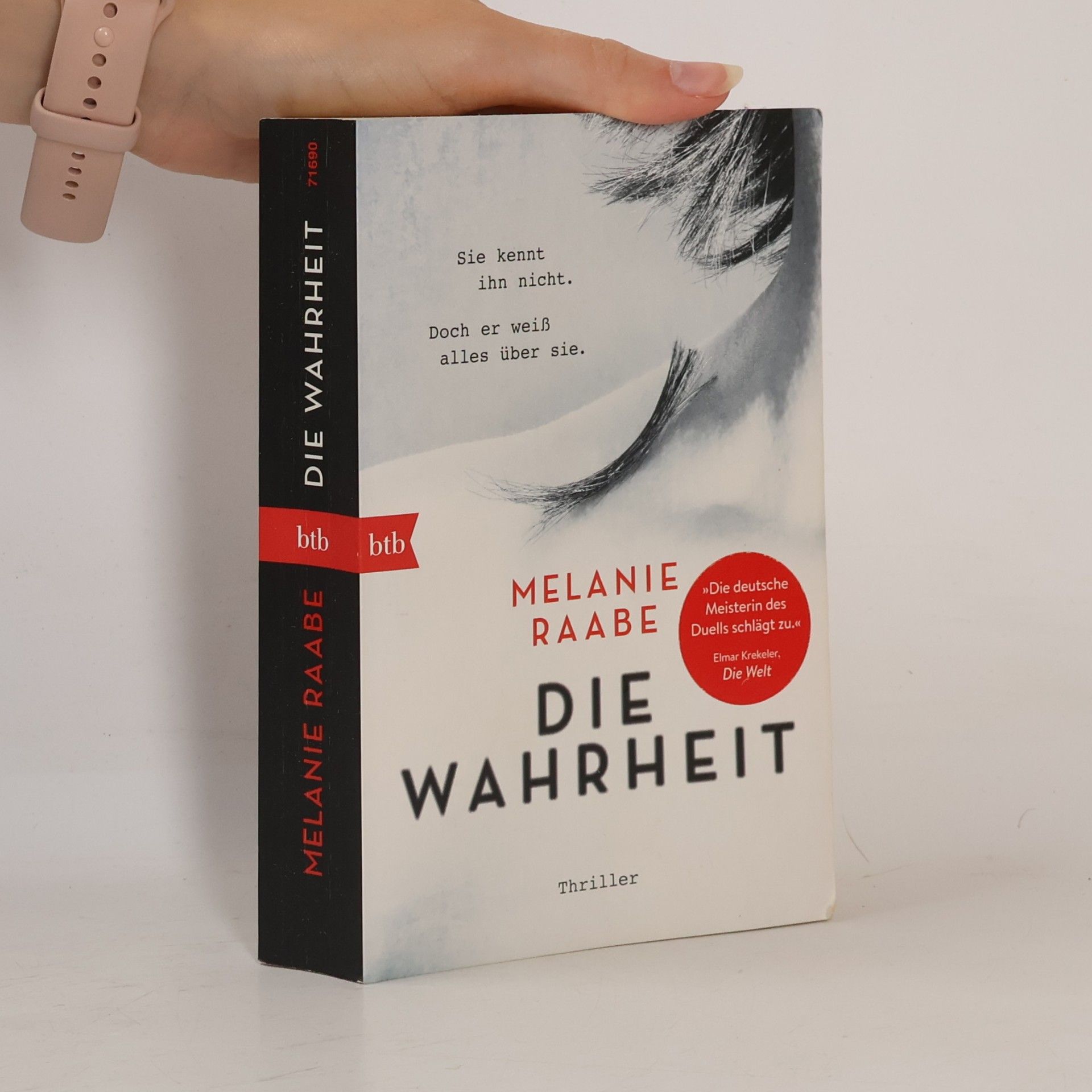 Melanie Raabe Die Wahrheit