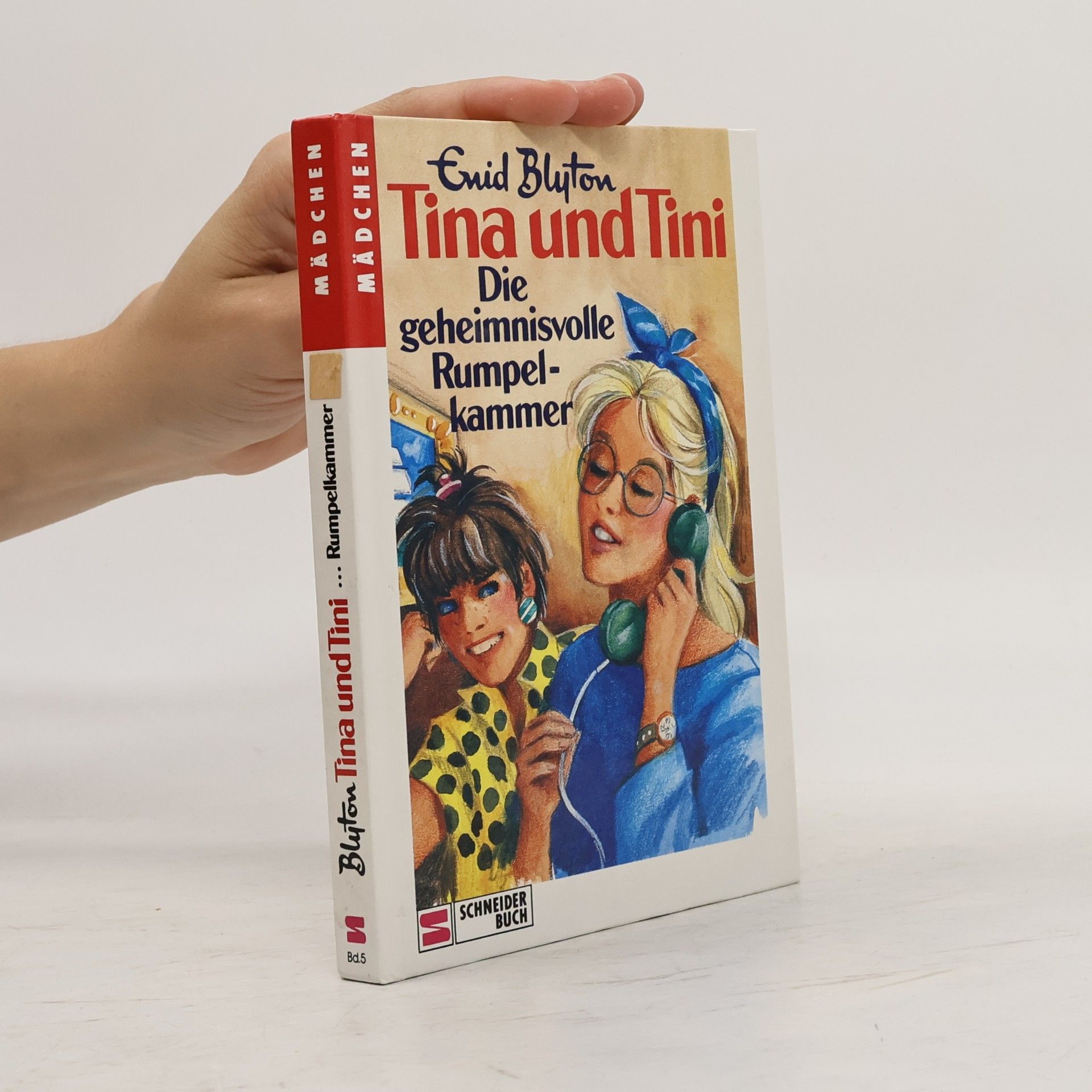 Enid Blyton Tina und Tini