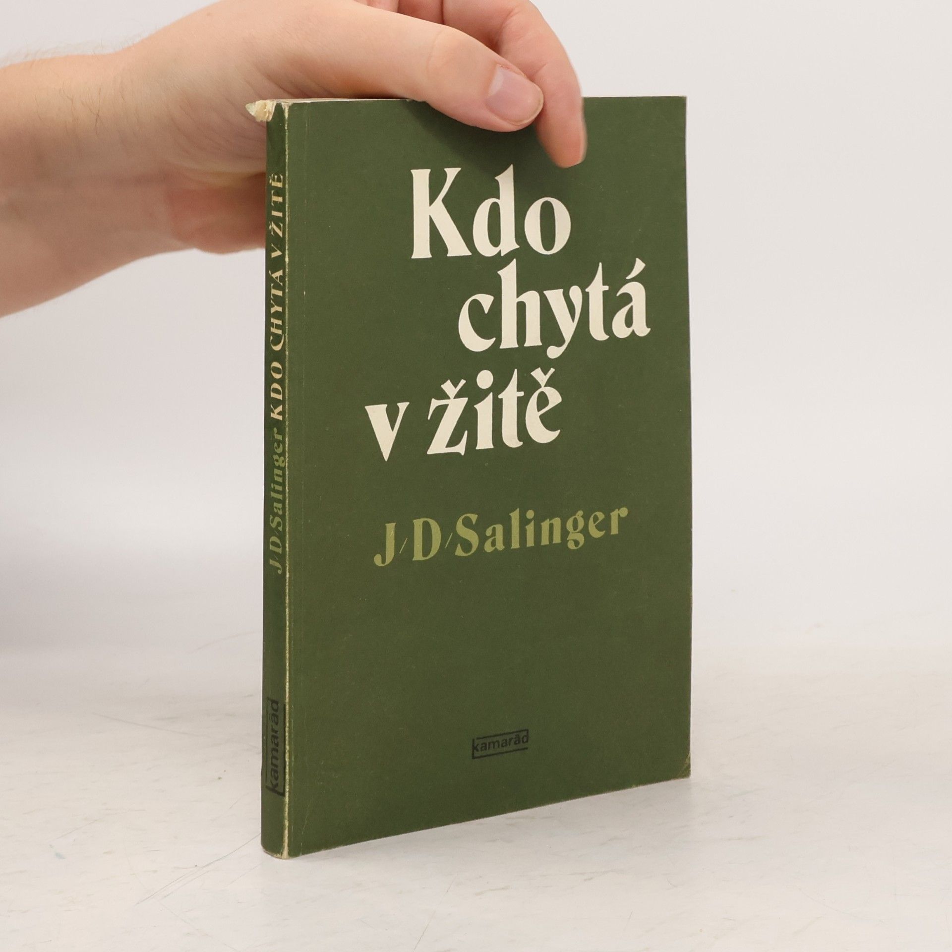 J. D. Salinger Kdo chytá v žitě