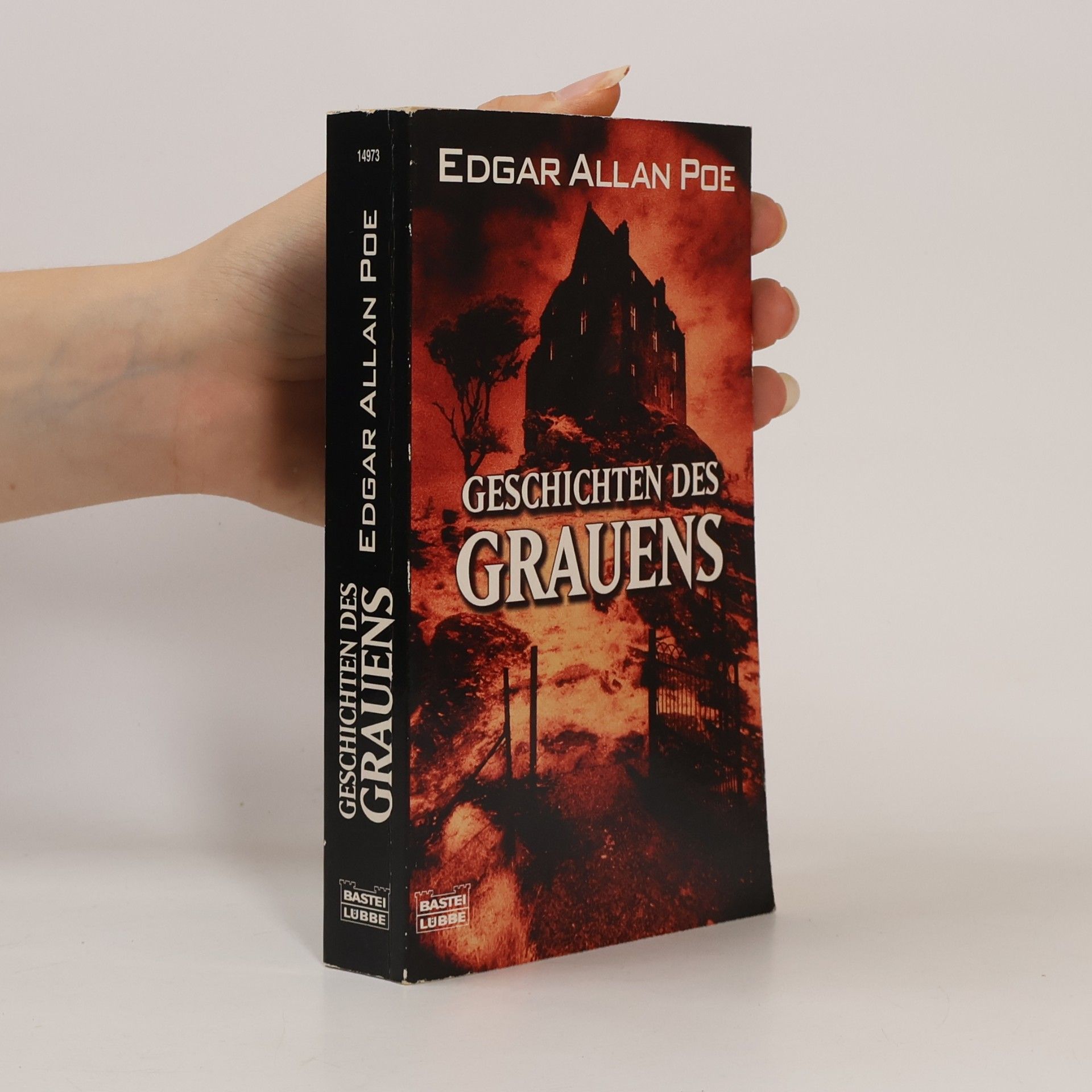 Edgar Allan Poe Geschichten des Grauens