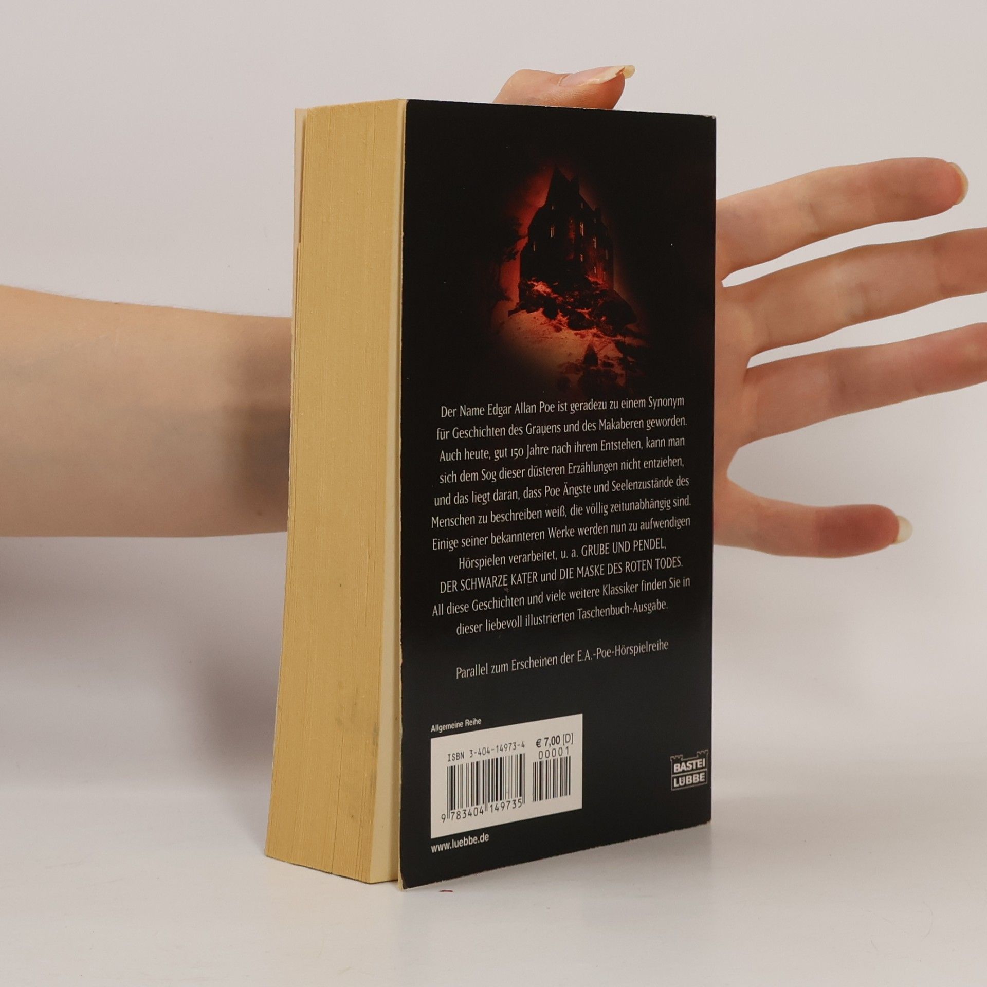 Edgar Allan Poe Geschichten des Grauens