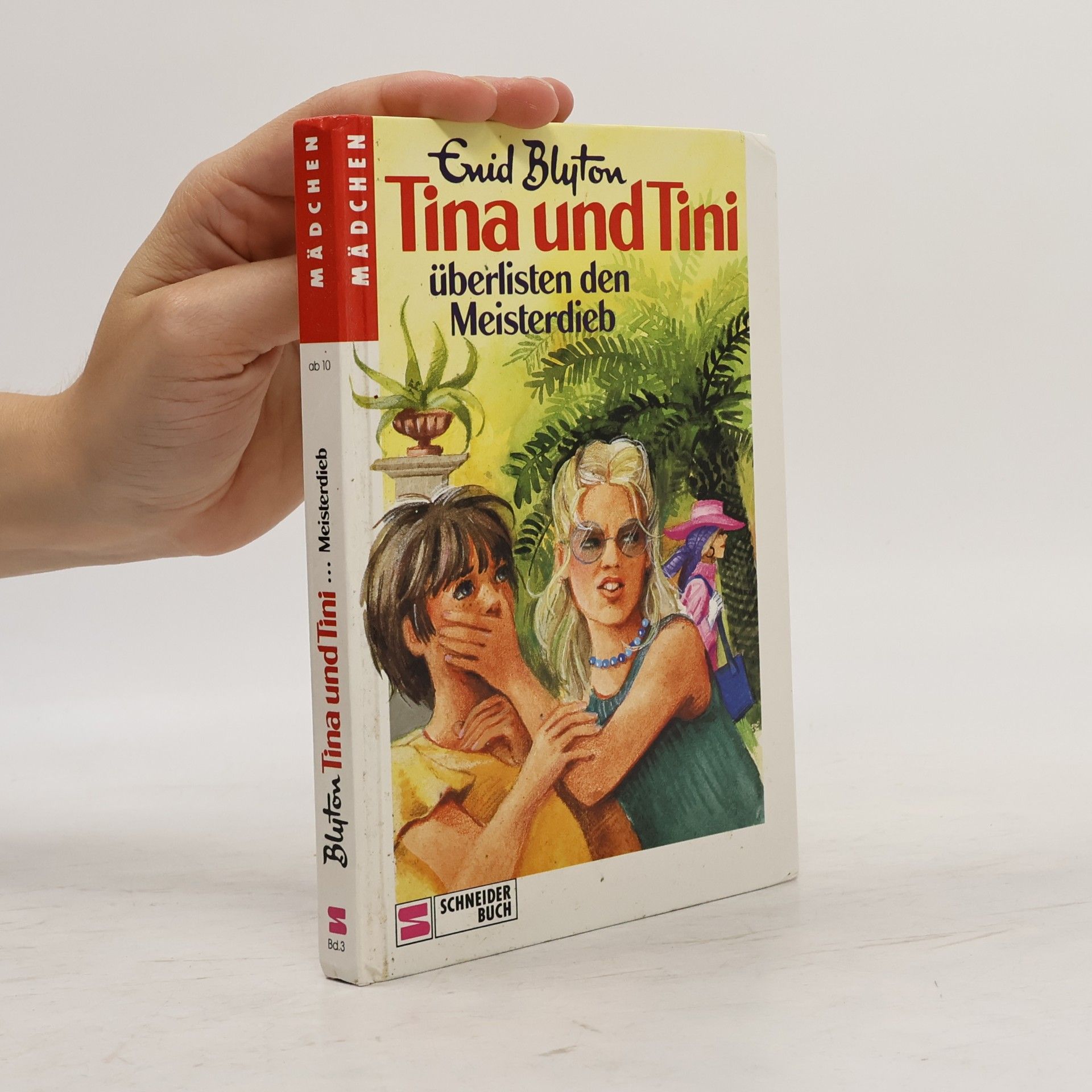 Enid Blyton Tina und Tini überlisten den Meisterdieb