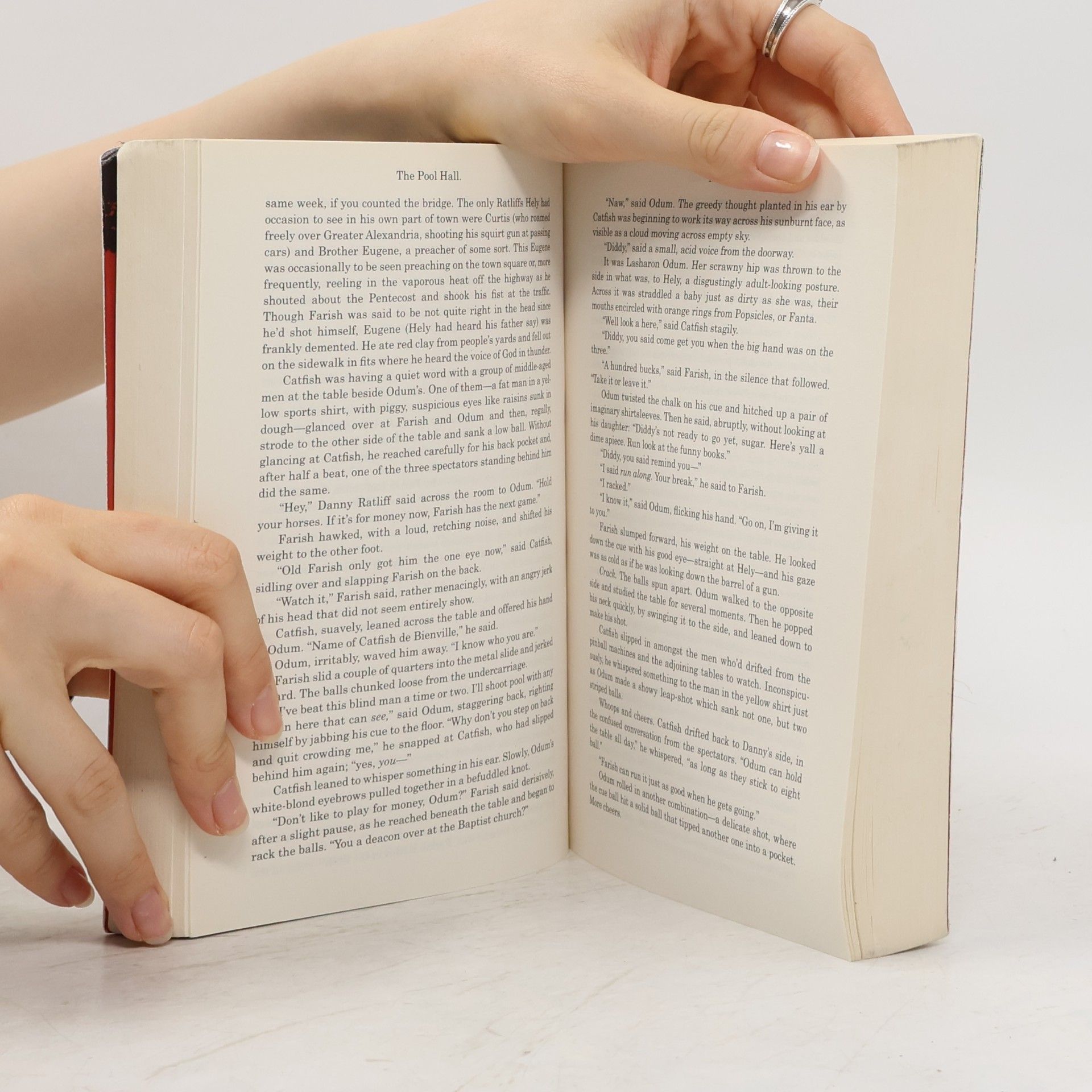 Donna Tartt The Little Friend
