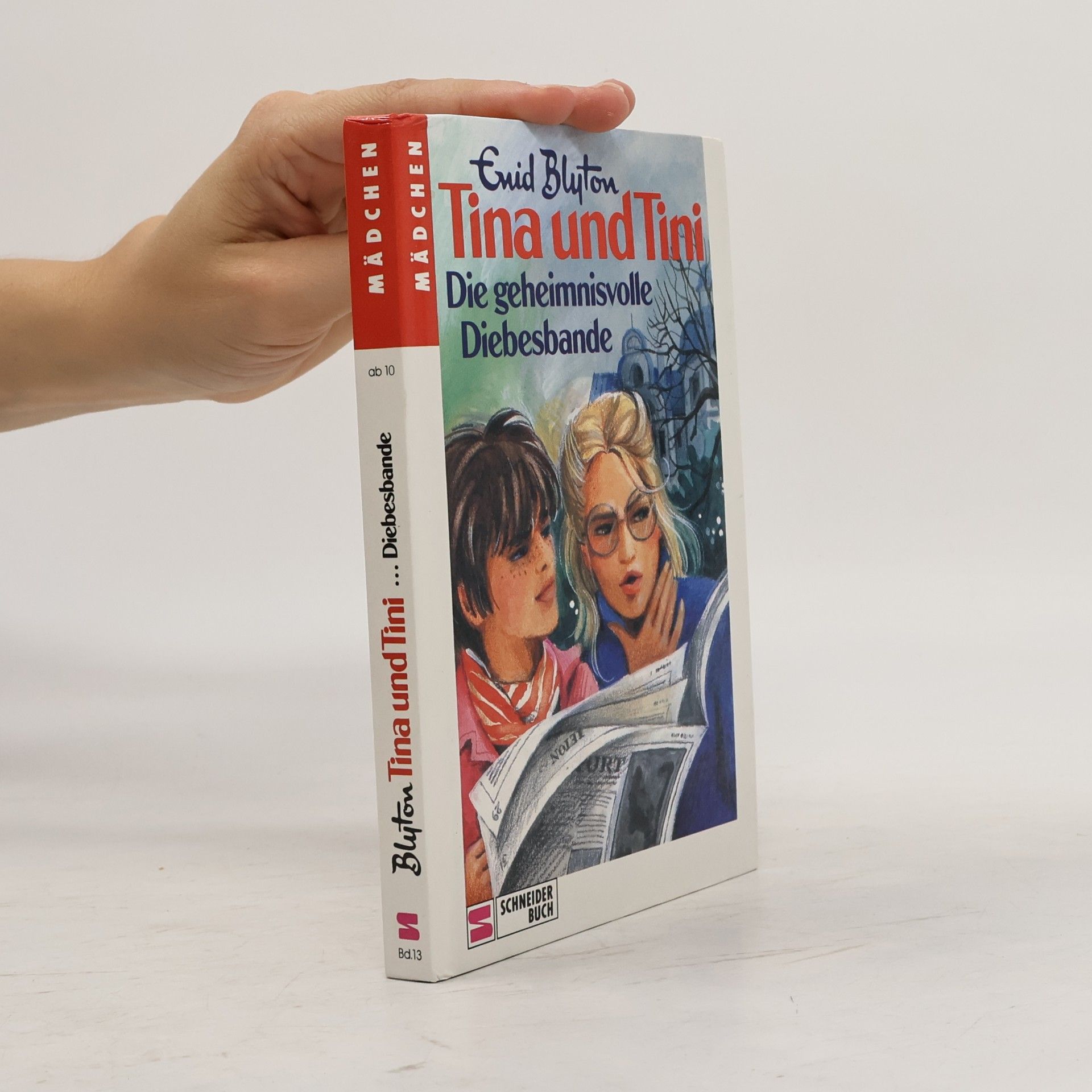 Tina und Tini: Die geheimnisvolle Diebesbande