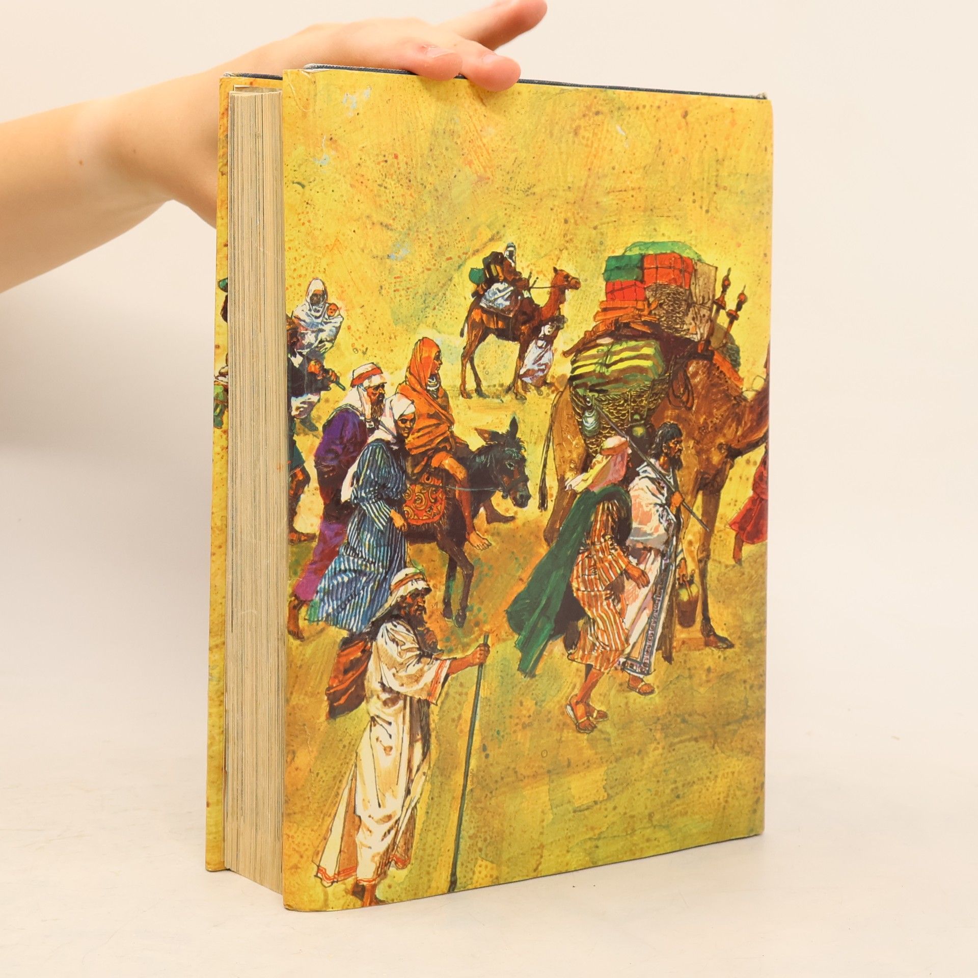 AA.VV. The Children's Bible in Colour the Old Testament and the New Testament