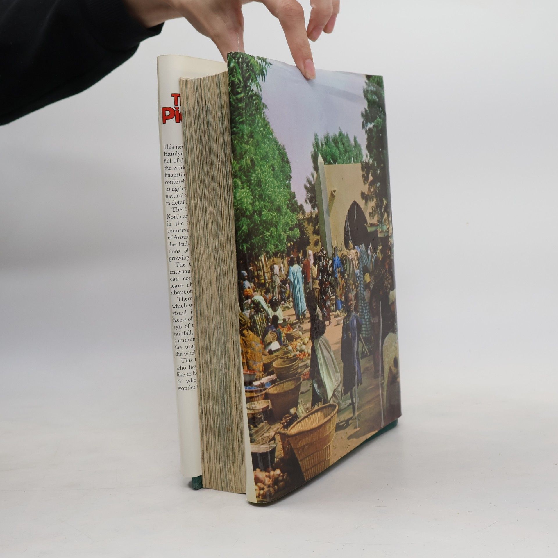 The Children's Picture Atlas in Colour: Revised Edition