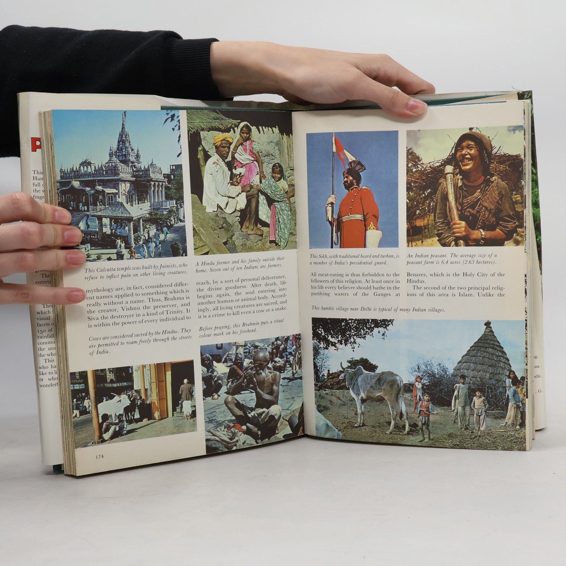 The Children's Picture Atlas in Colour: Revised Edition