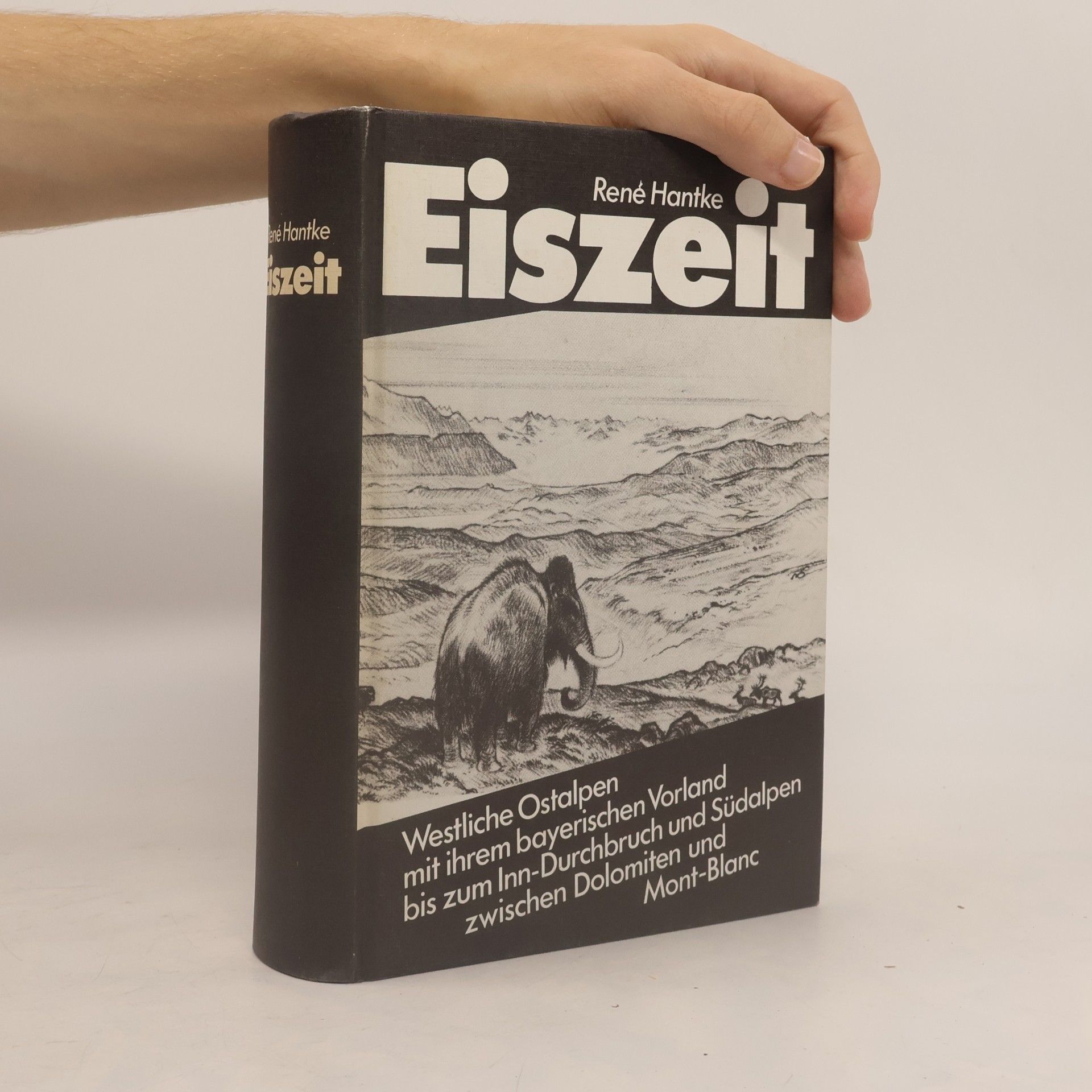Eiszeit