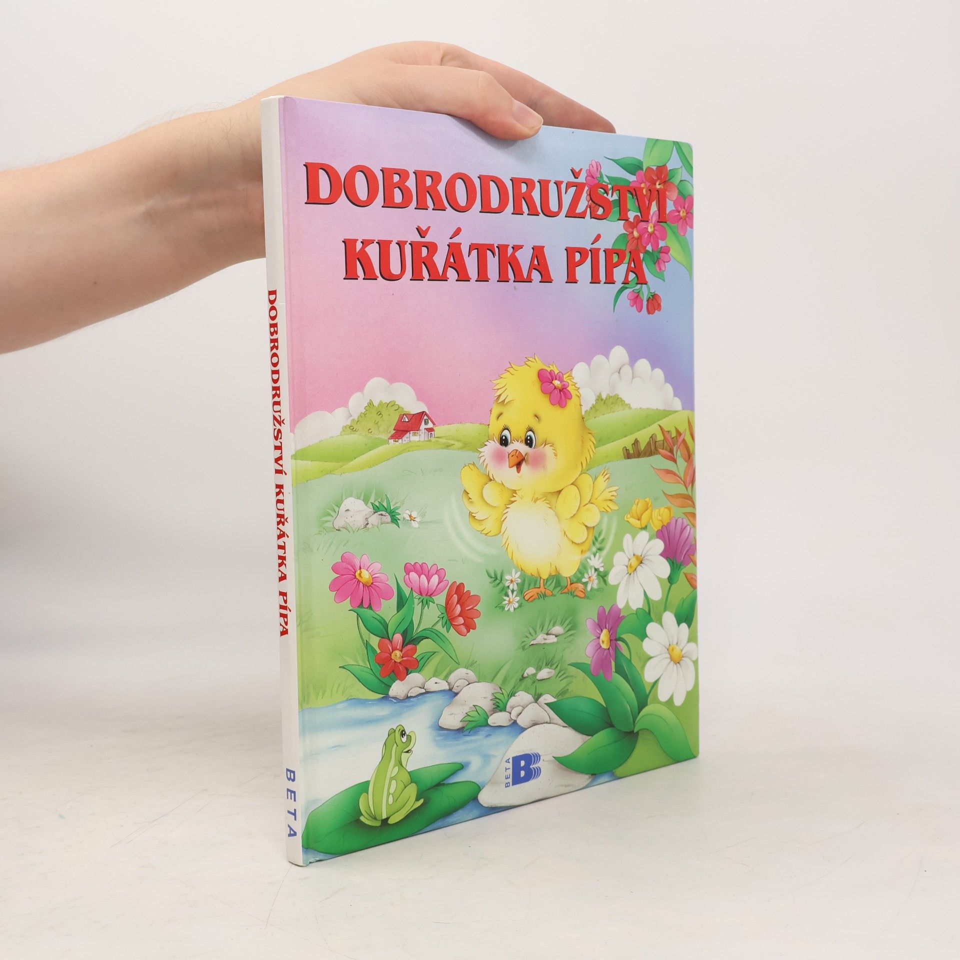 Maggiorina Castoldi Dobrodružství kuřátka Pípa