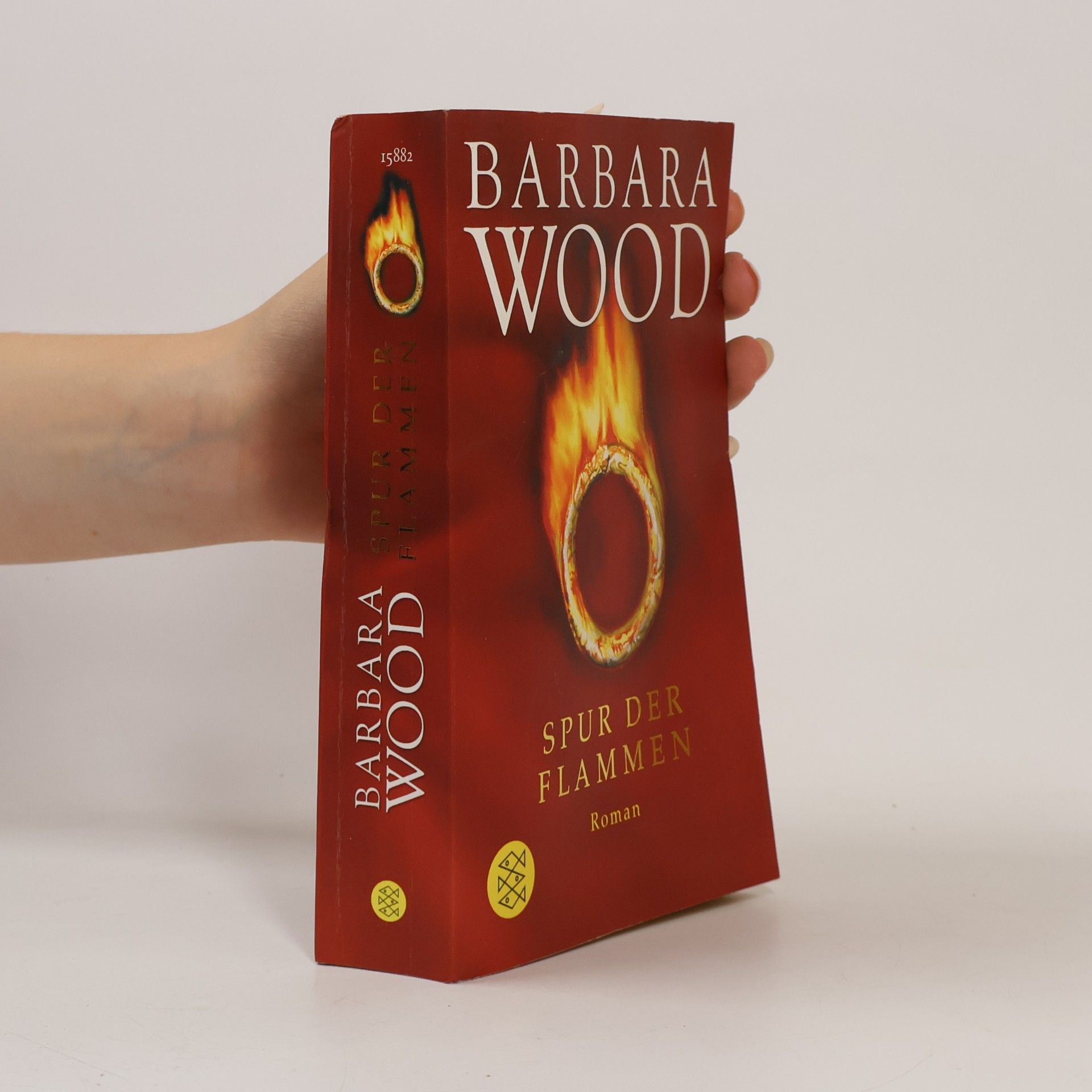 Barbara Wood Spur der Flammen