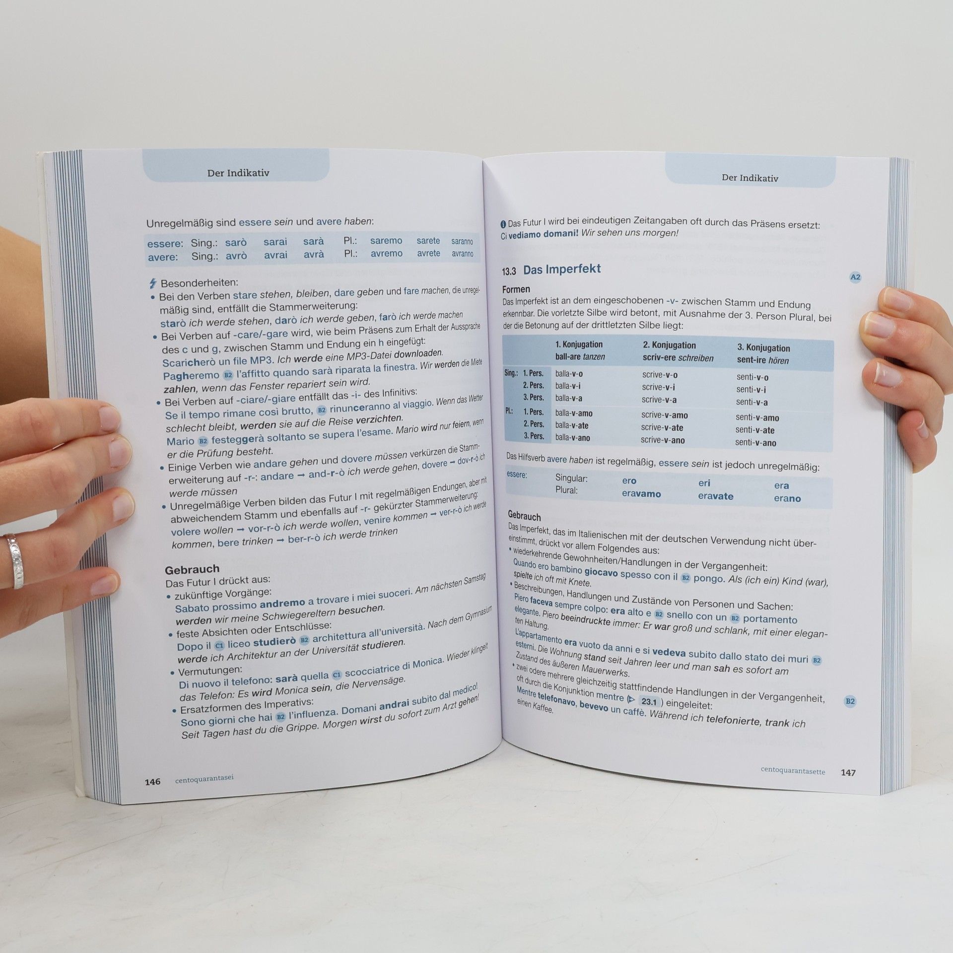 Umberto Gorini Langenscheidt, Standardgrammatik Italienisch