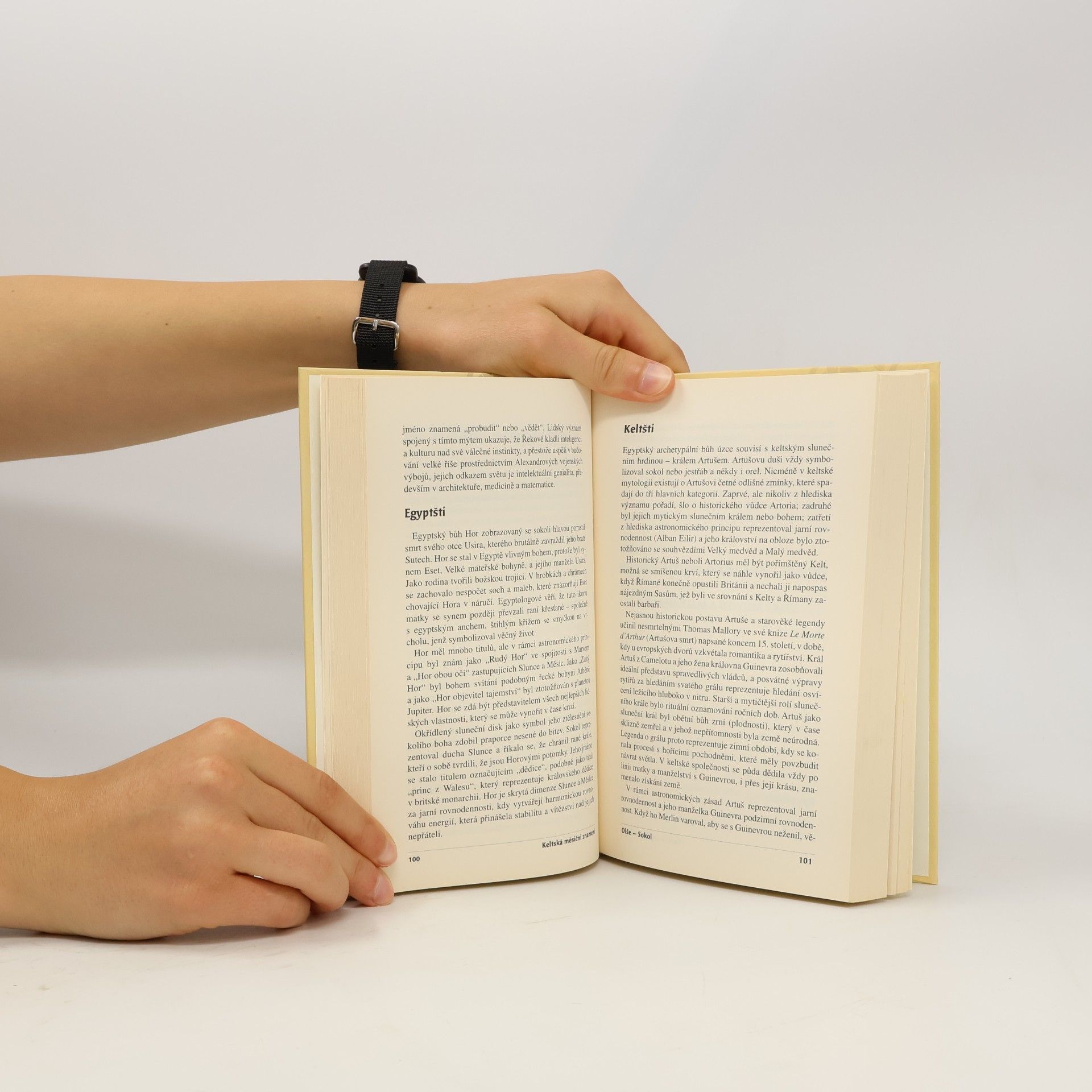 Helena Paterson Velká kniha keltské astrologie