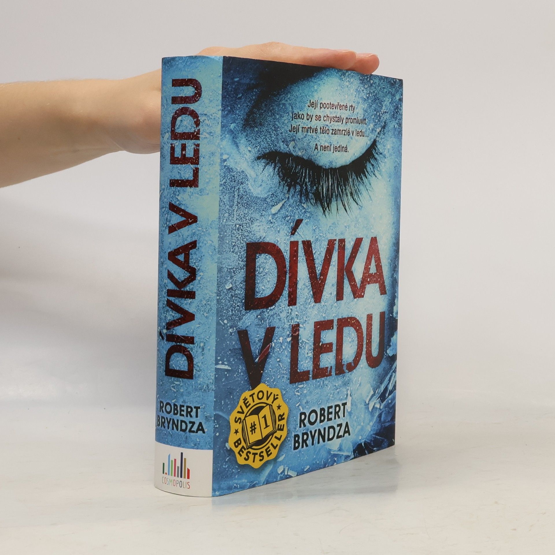 Robert Bryndza Dívka v ledu