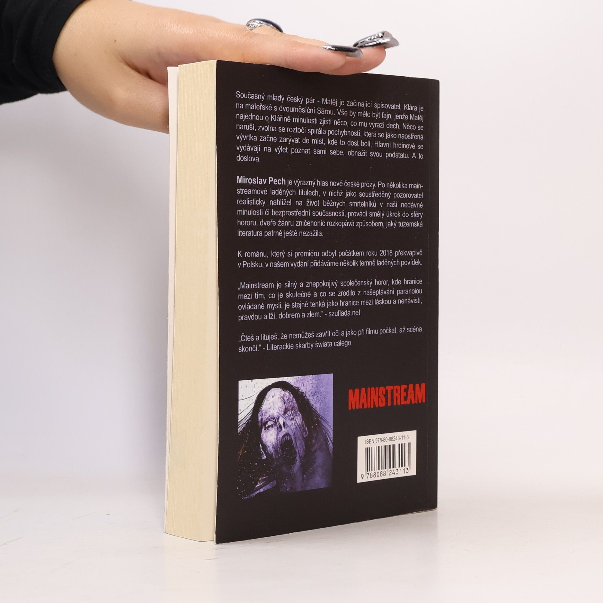 Miroslav Pech Mainstream