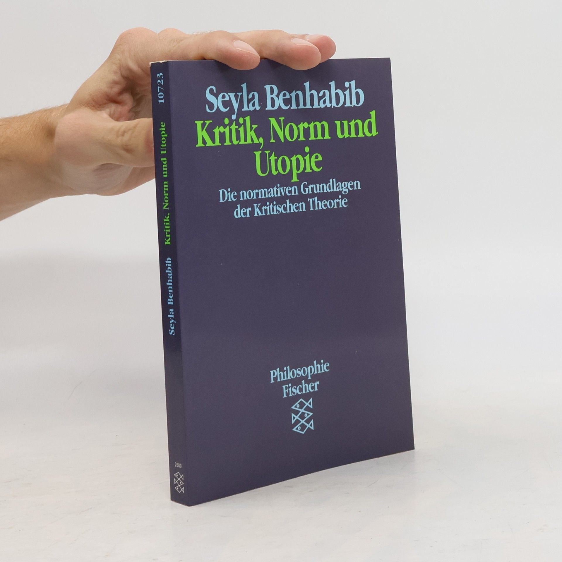 Seyla Benhabib Kritik, Norm und Utopie