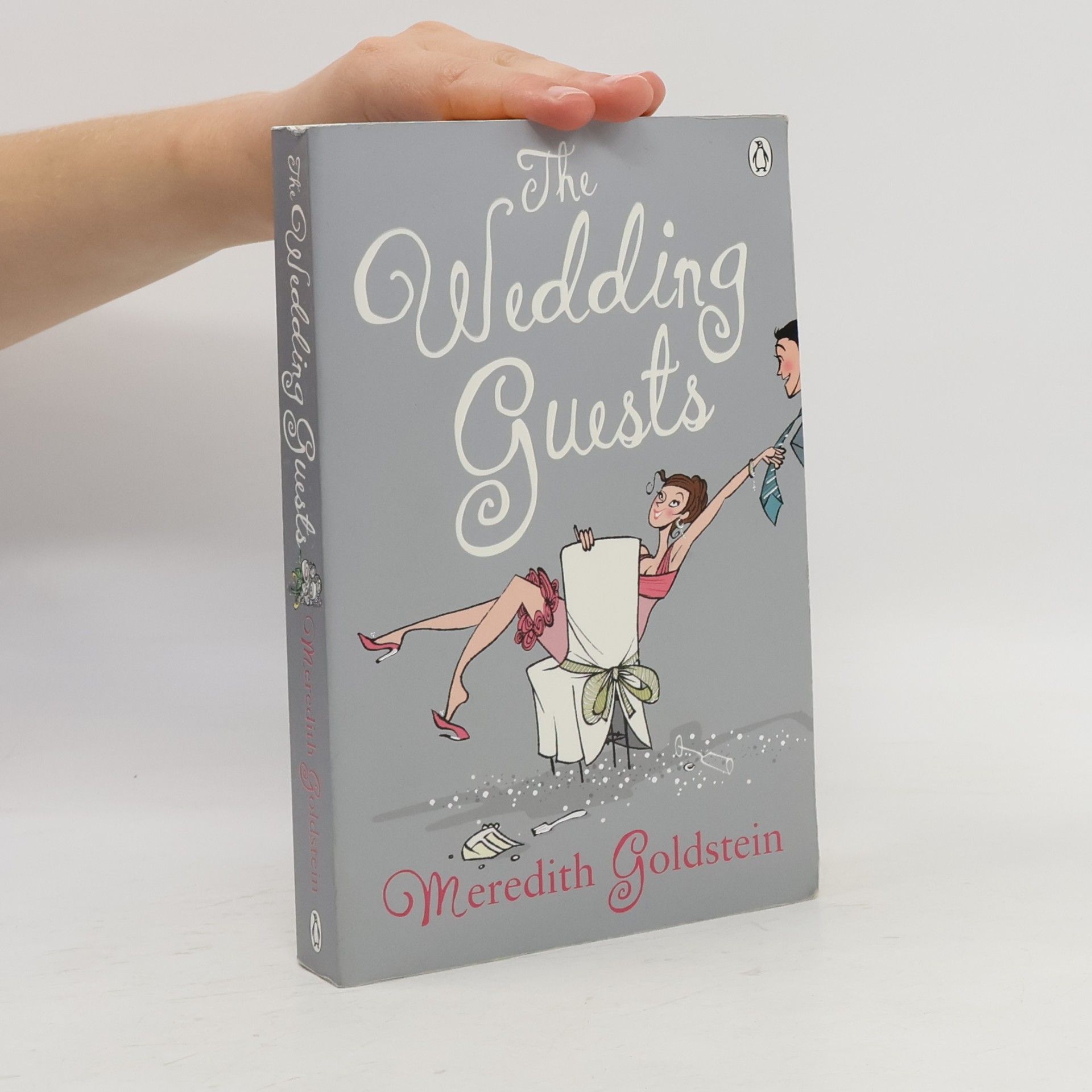 Meredith Goldstein The Wedding Guests