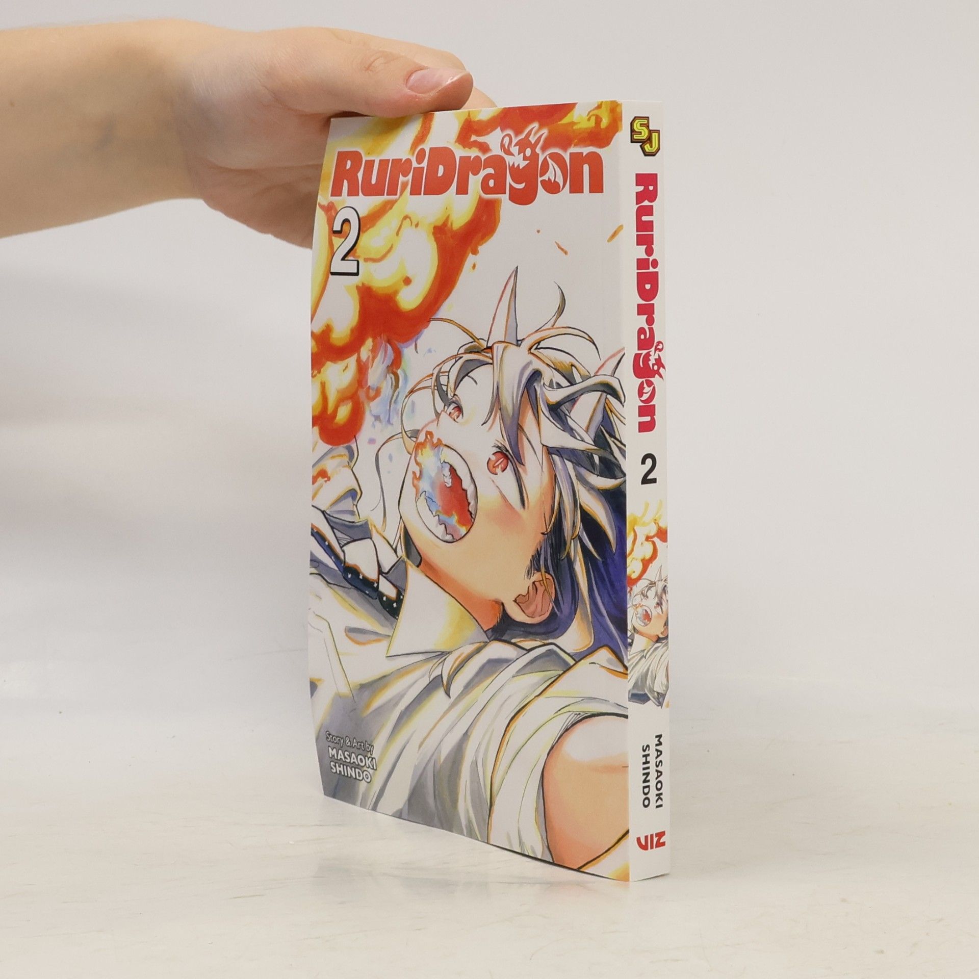Masaoki Shindou RuriDragon