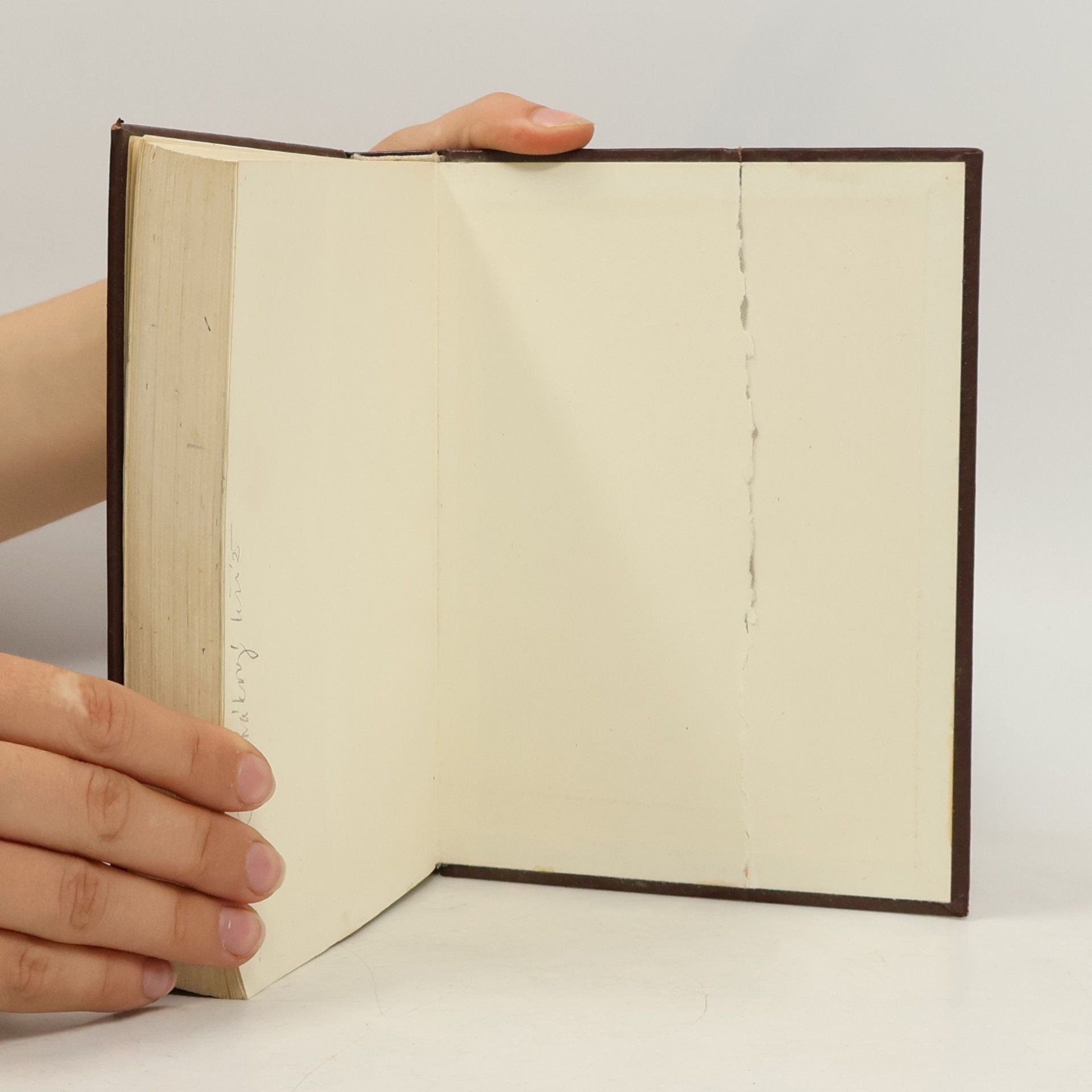 Kolektiv autorů Bible. Písmo svaté Starého i Nového zákona. Ekumenický překlad