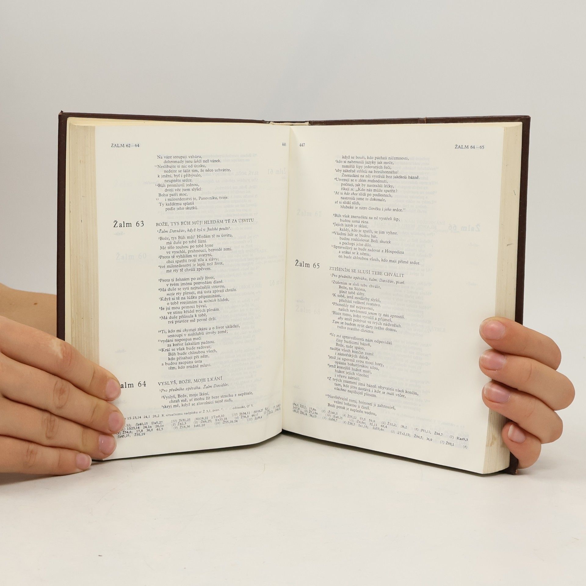 Kolektiv autorů Bible. Písmo svaté Starého i Nového zákona. Ekumenický překlad