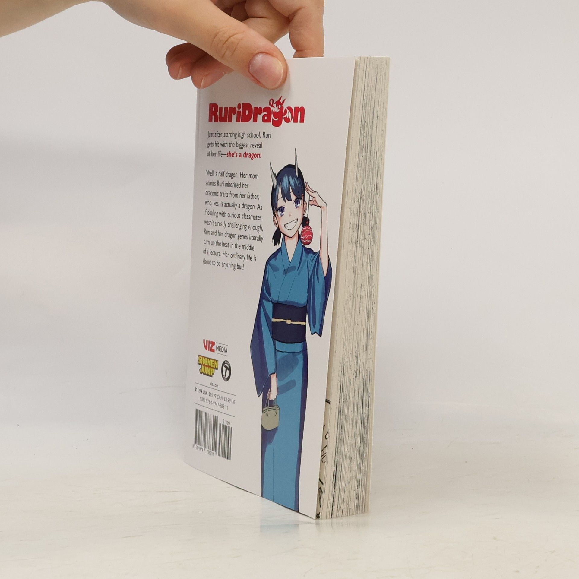 Masaoki Shindou RuriDragon