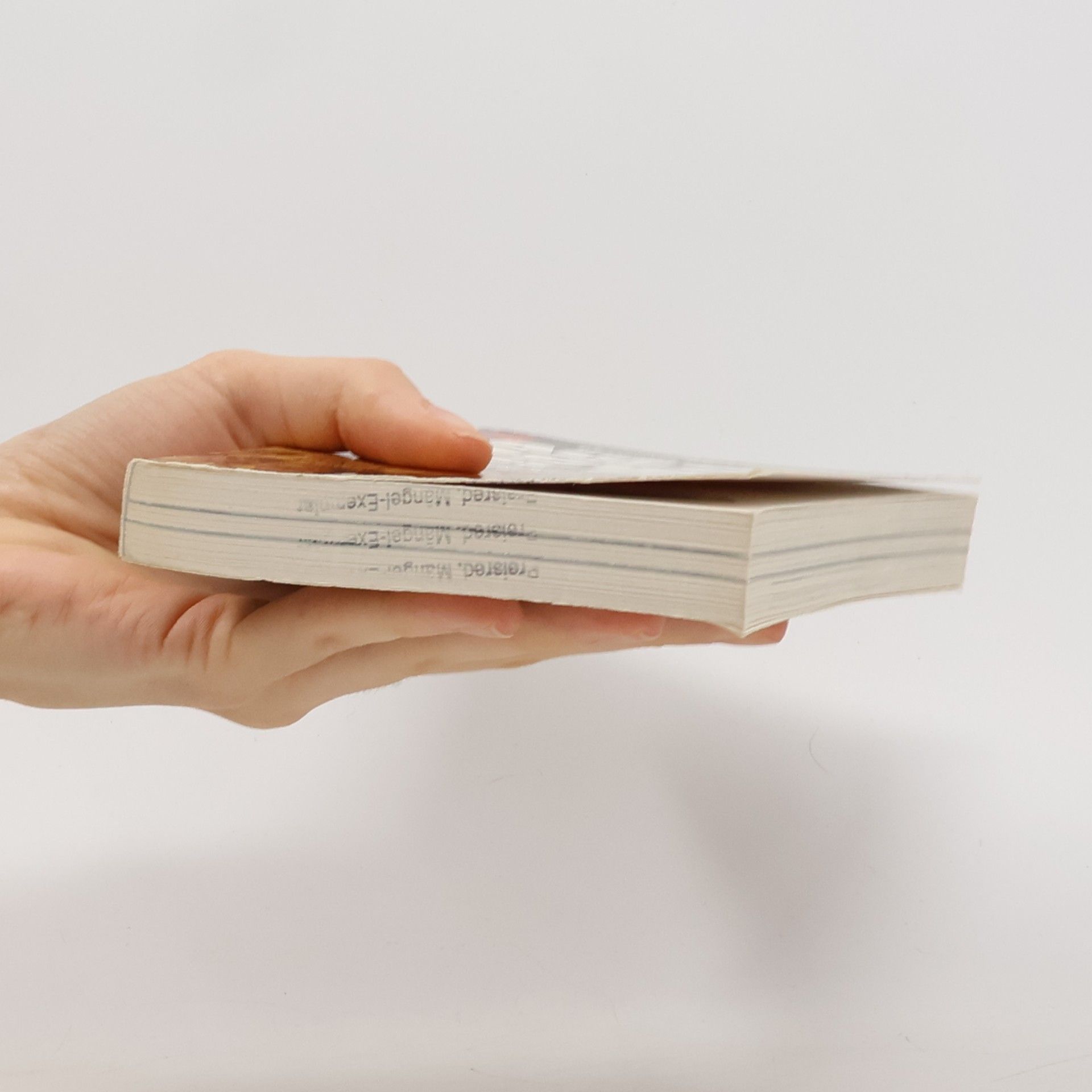 Magnus Magnusson Auf den Spuren der Bibel