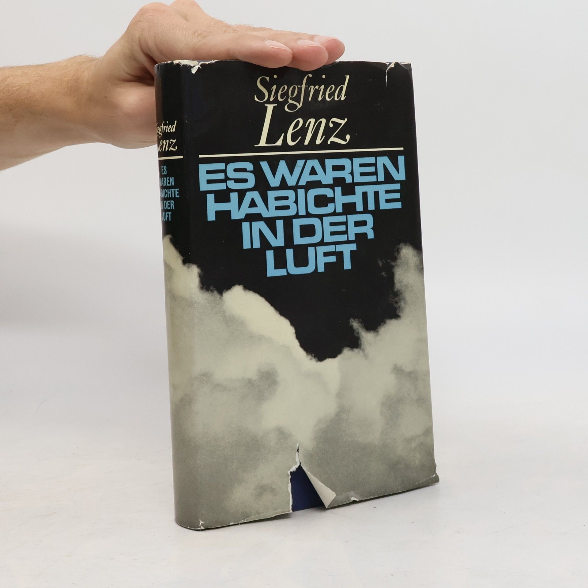 Siegfried Lenz Es waren Habichte in der Luft