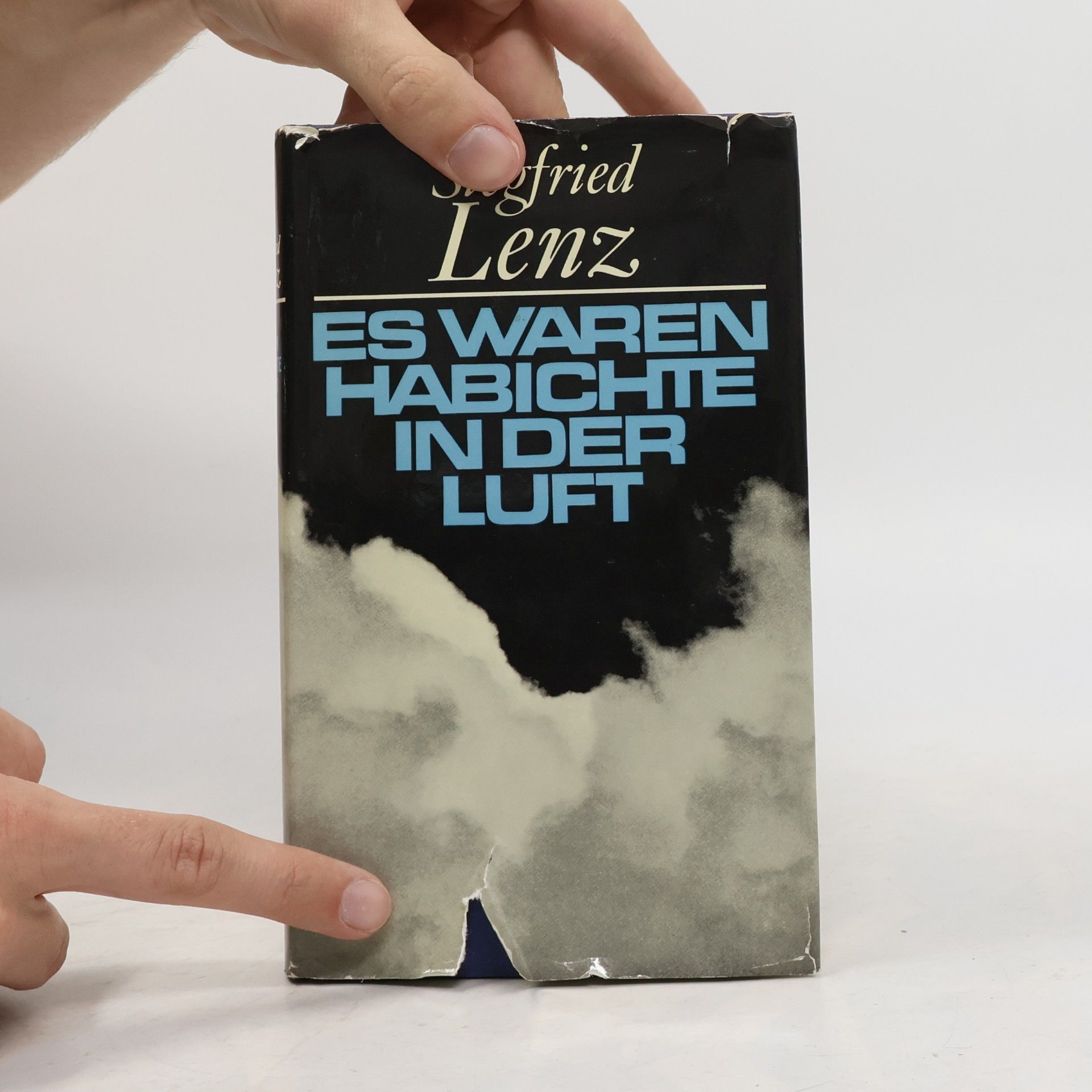 Siegfried Lenz Es waren Habichte in der Luft