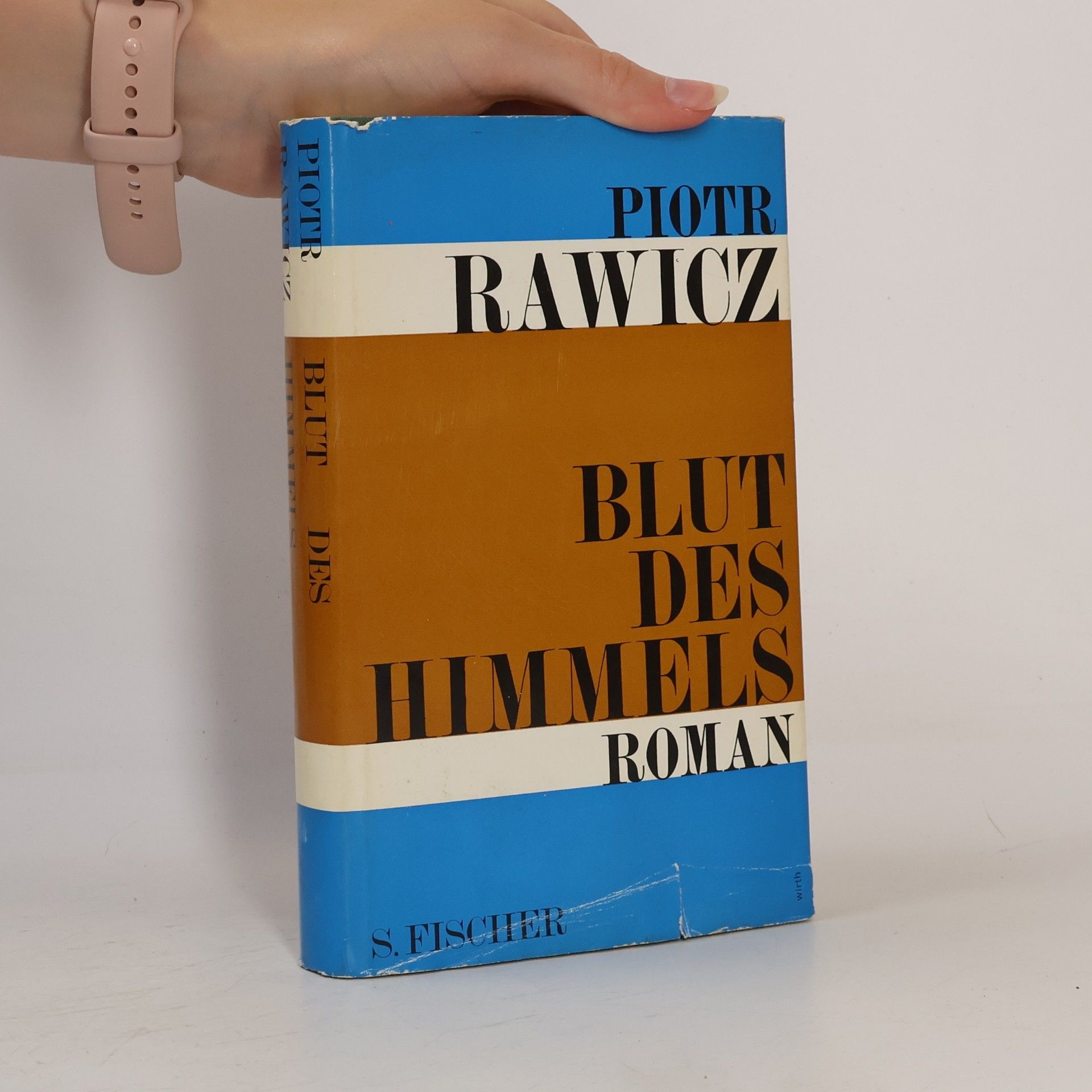 Piotr Rawicz Blut des Himmels