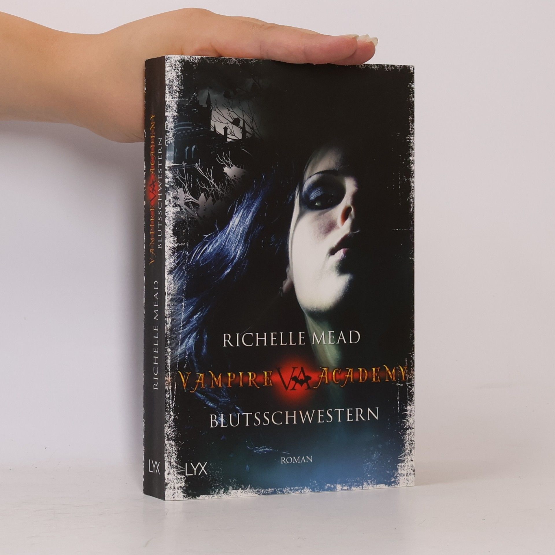Richelle Mead Vampire Academy